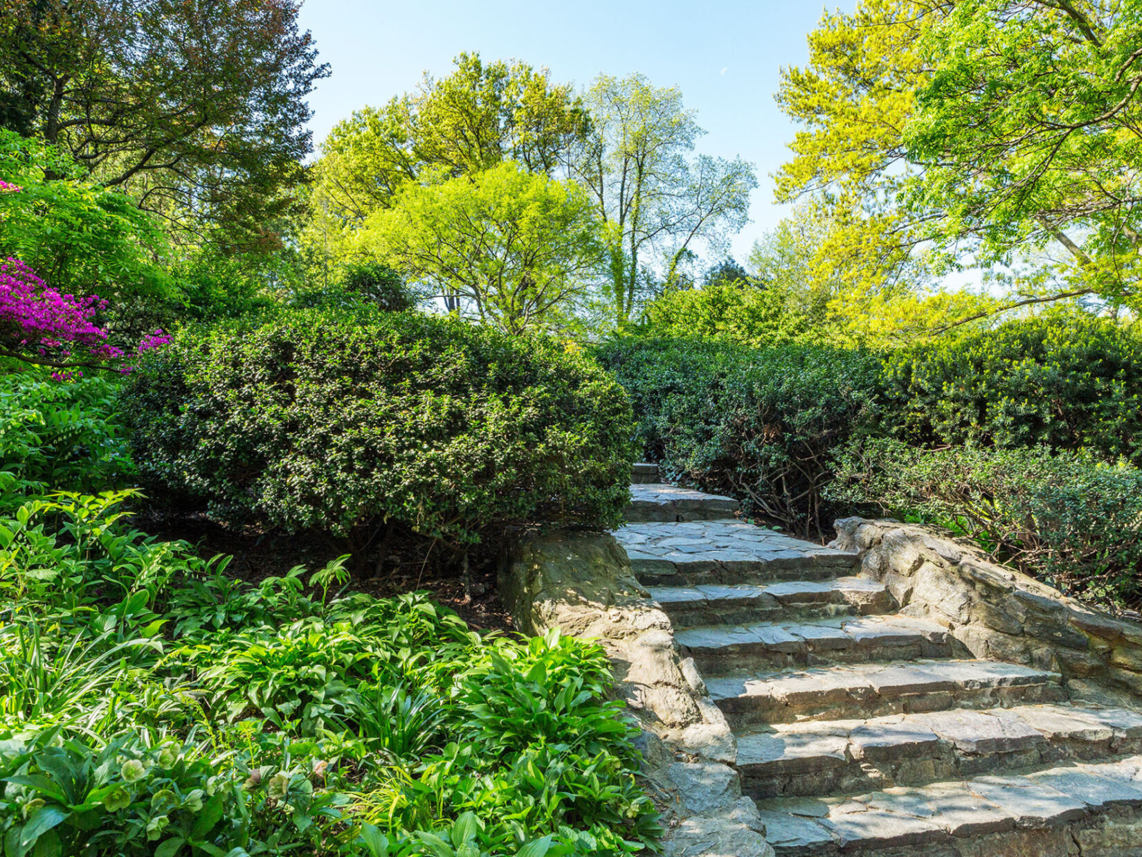 The stone steps of Shakespeare Garden, lined by pruned shrubbery and flowers