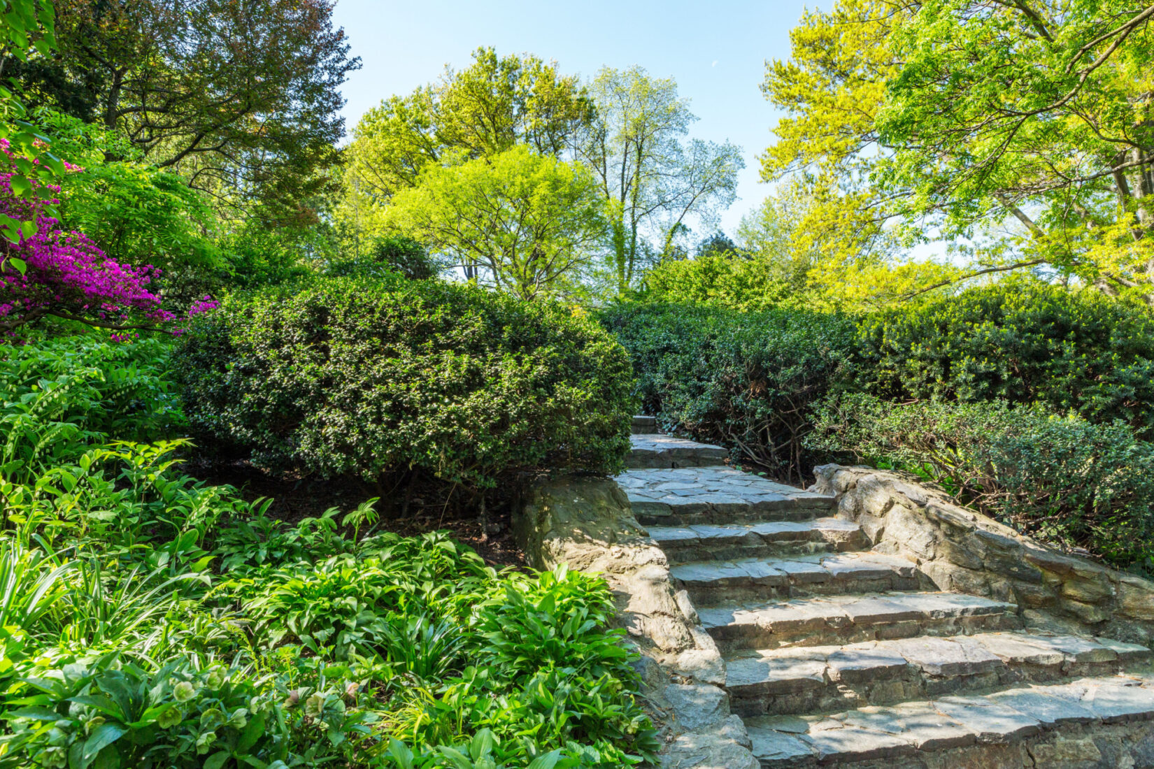 The stone steps leading up the Shakespeare Garden