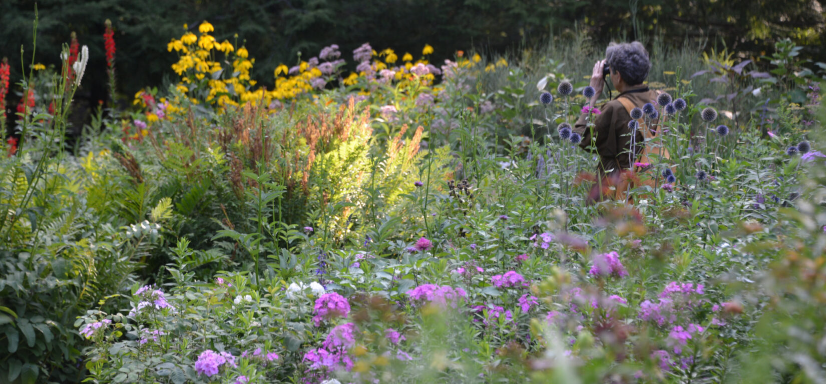 A person looks through binoculars surrounded by wildflowers in Shakespeare Garden.