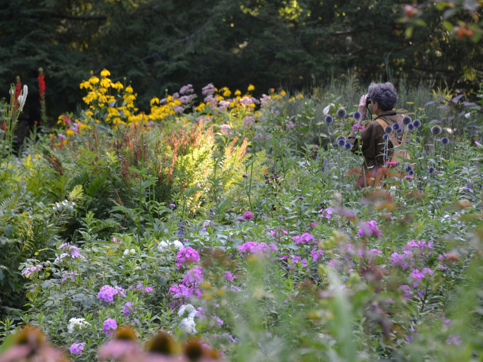 A person looks through binoculars surrounded by wildflowers in Shakespeare Garden.