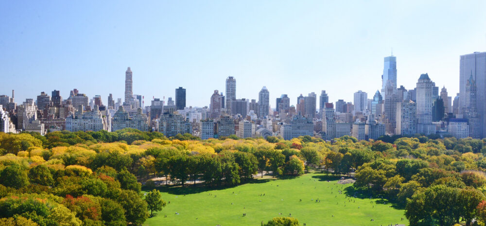 Sheep Meadow Aerial Central Park credit the Central Park Conservancy