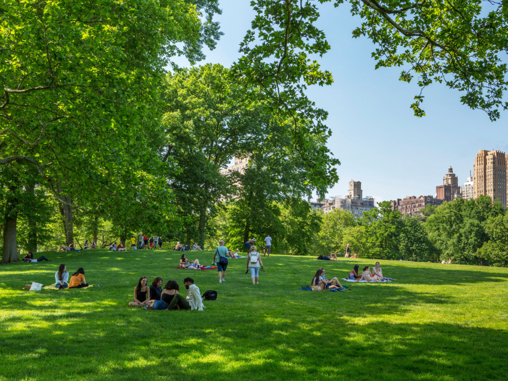 Clusters of parkgoers lounge in the shade of the trees of the Sheep Meadow