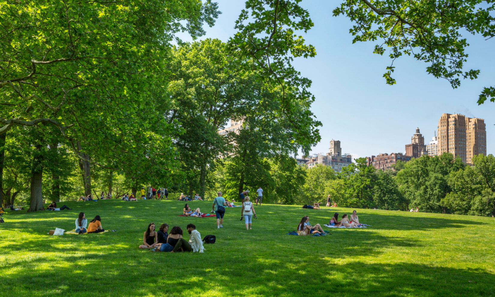 Sheep Meadow May 2018 36