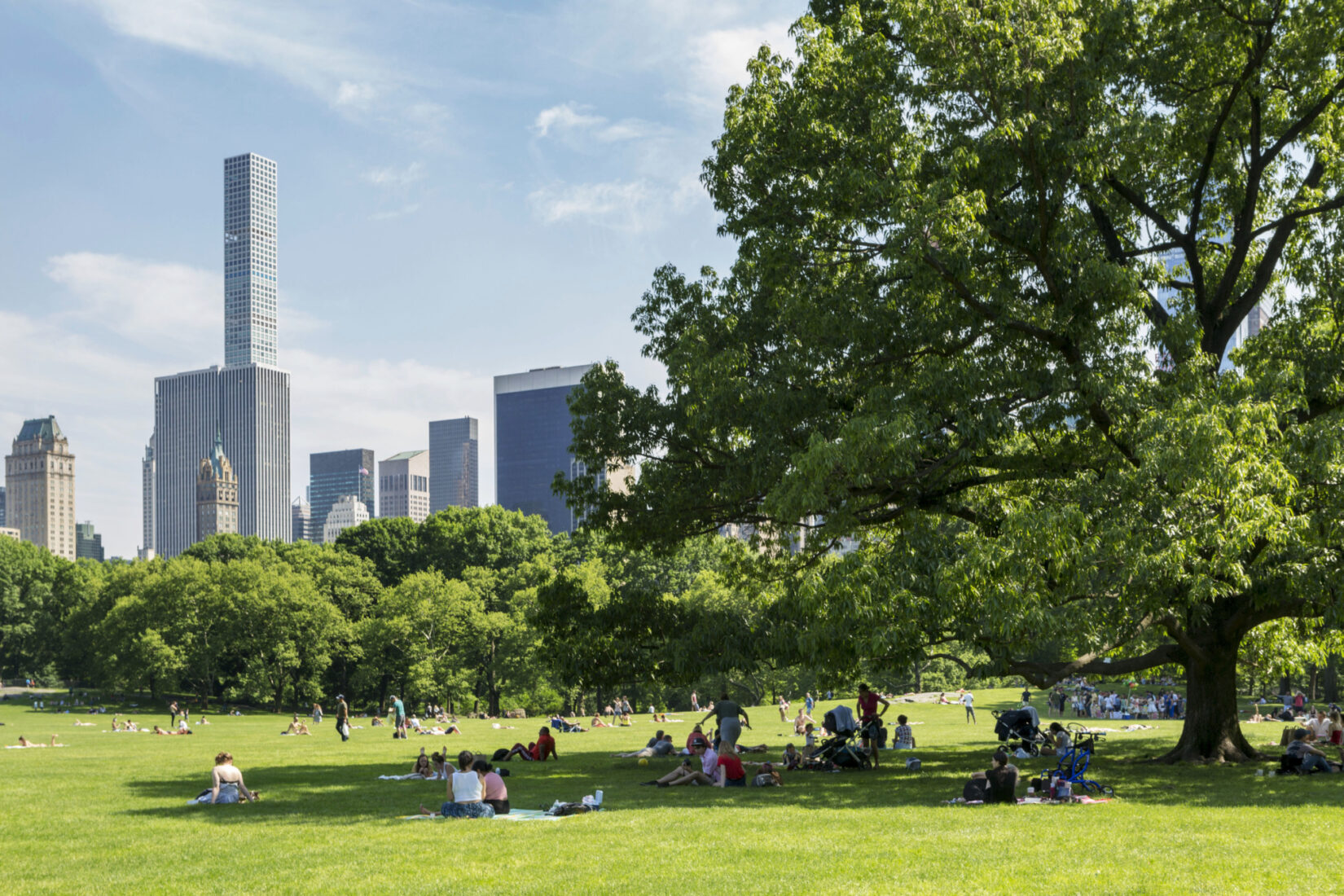 Park visitors find shade beneath a tree in the Sheep Meadow with the skyline in the background