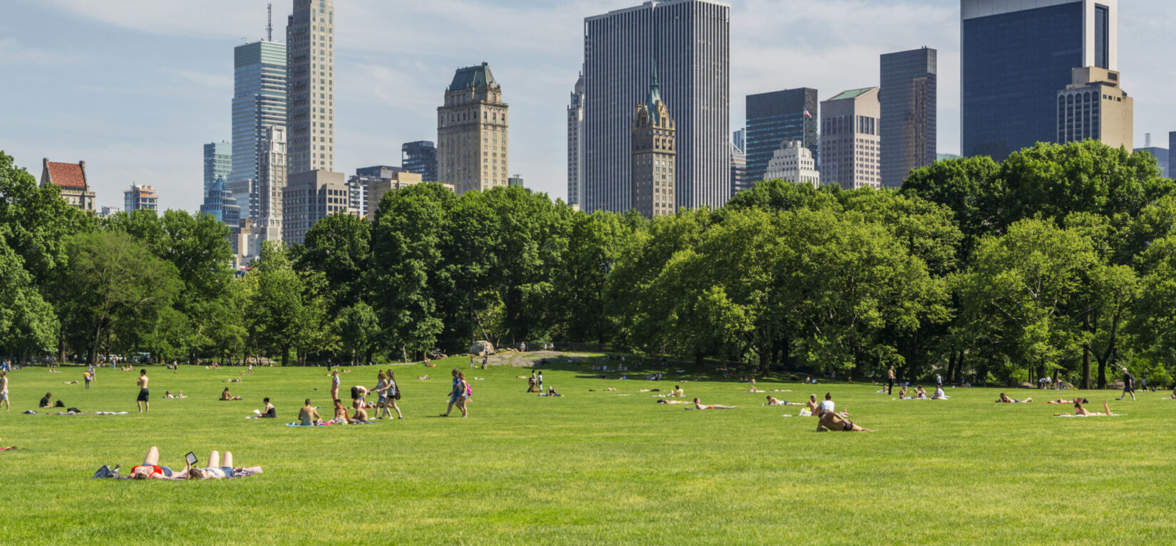 Parkgoers lounge on Sheep Meadow, with the skyscrapers of Manhattan's East Side filling the horizon.