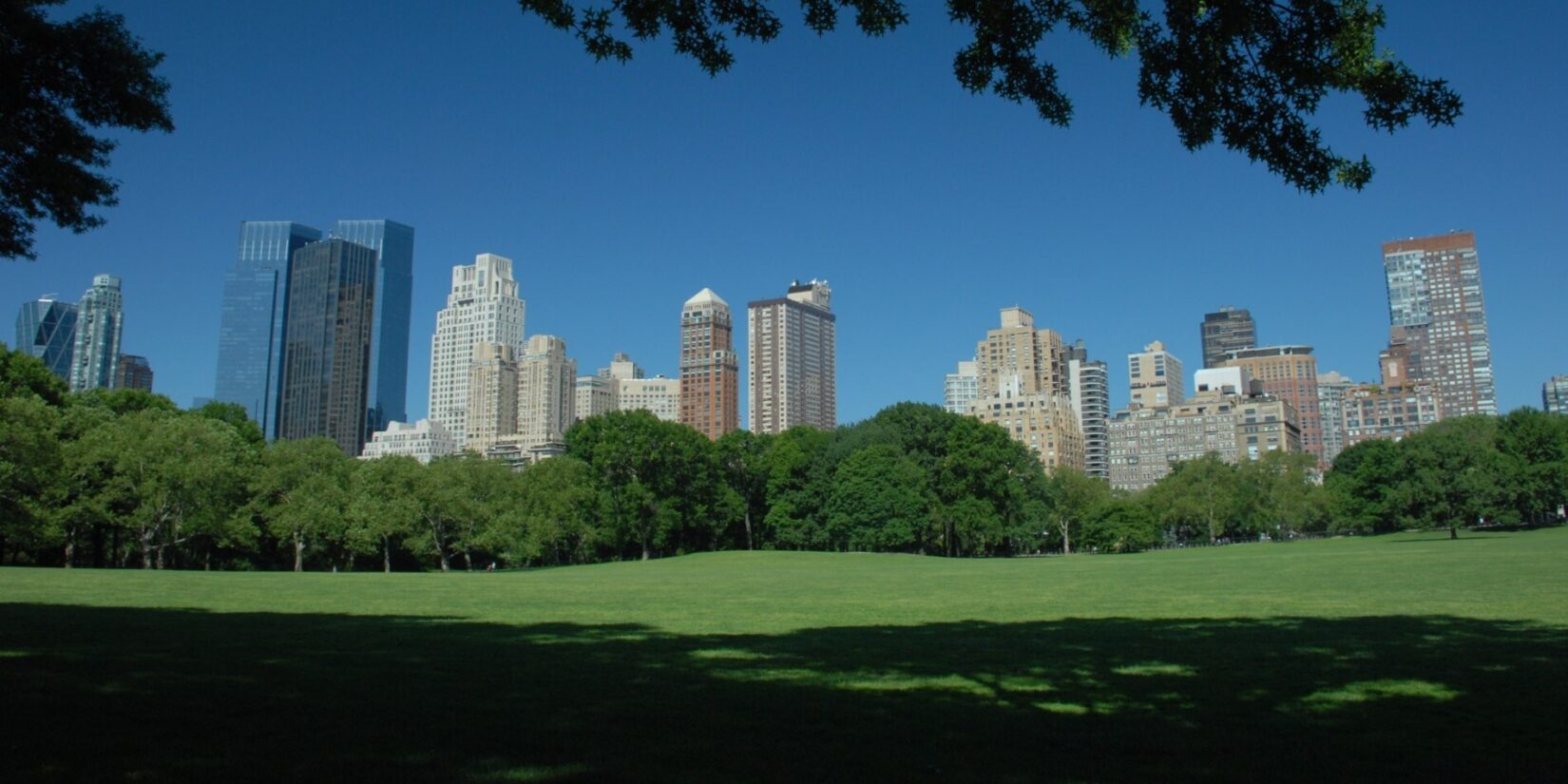 The Sheep Meadow, half cloaked in the shade of trees, foregrounds the midtown skyline