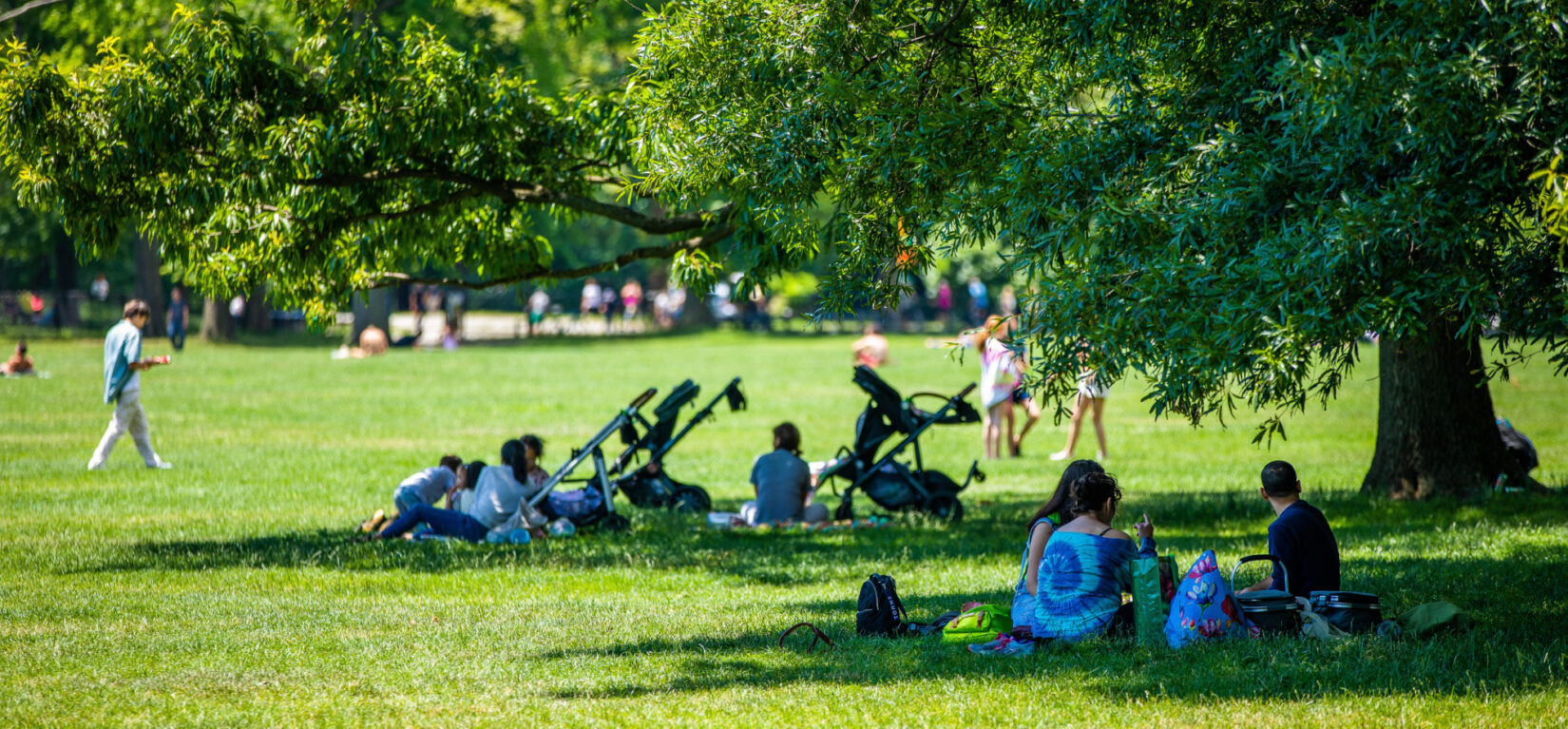 Sheep Meadow 20210624 AL2 A9252