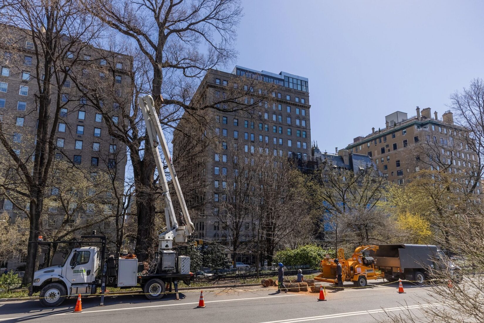 The Conservancy deploying a truck with a cherry picker to care for trees beside a park drive.