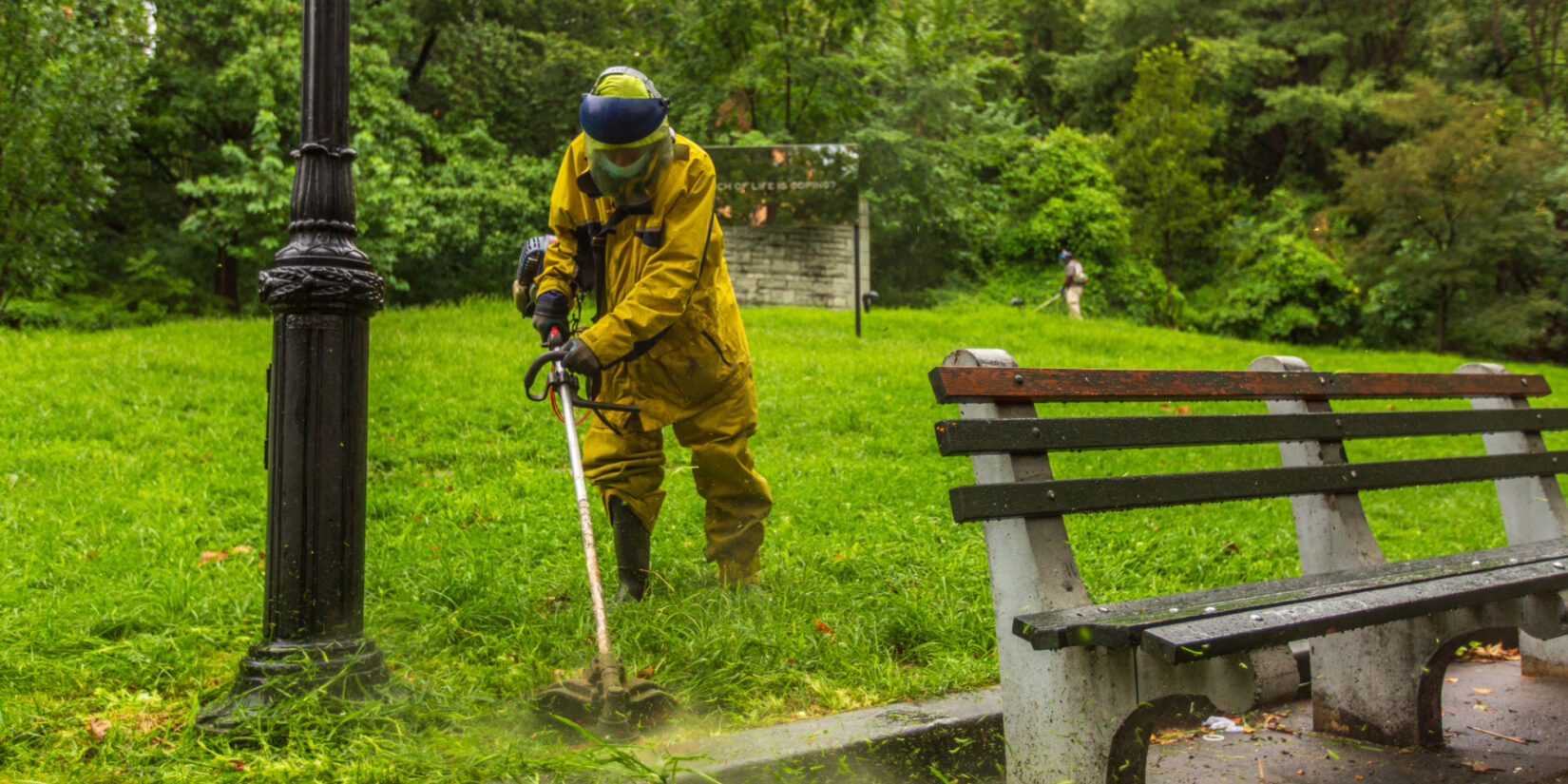 A groundskeeper in full rain gear string-trims around a lamppost.