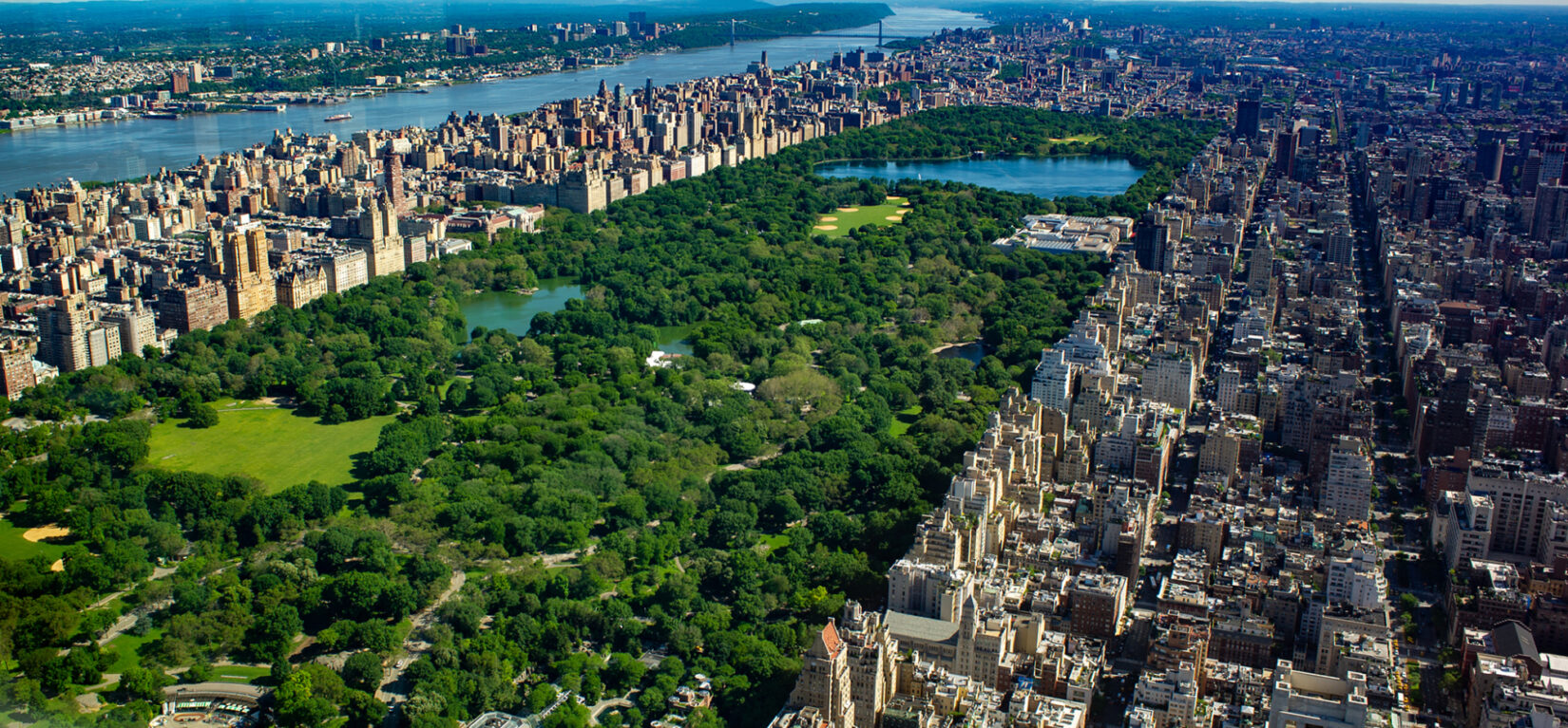 Aerial photo of Central Park in the summer