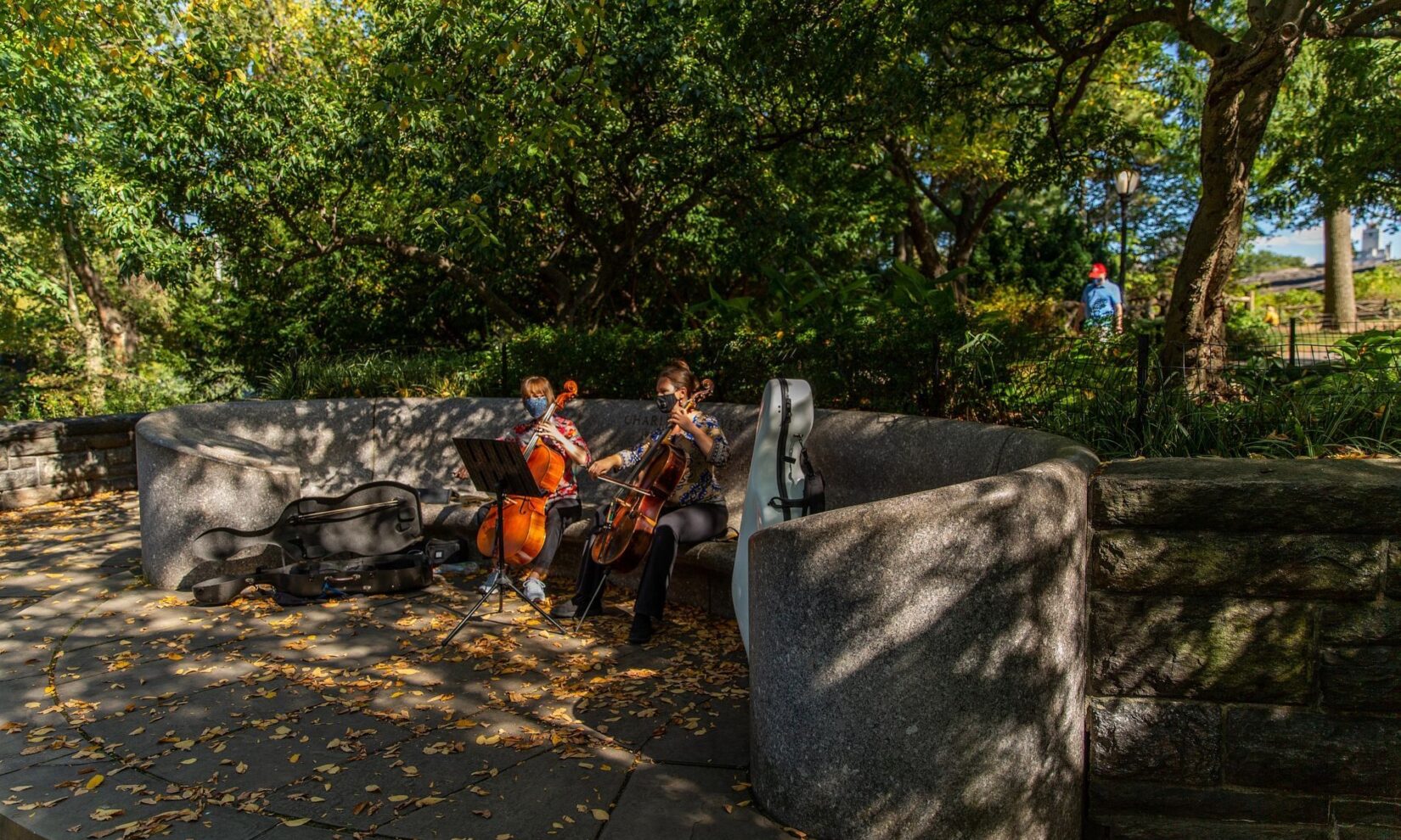 A pair of cellists performing on the Bench. under sun-dappled trees.