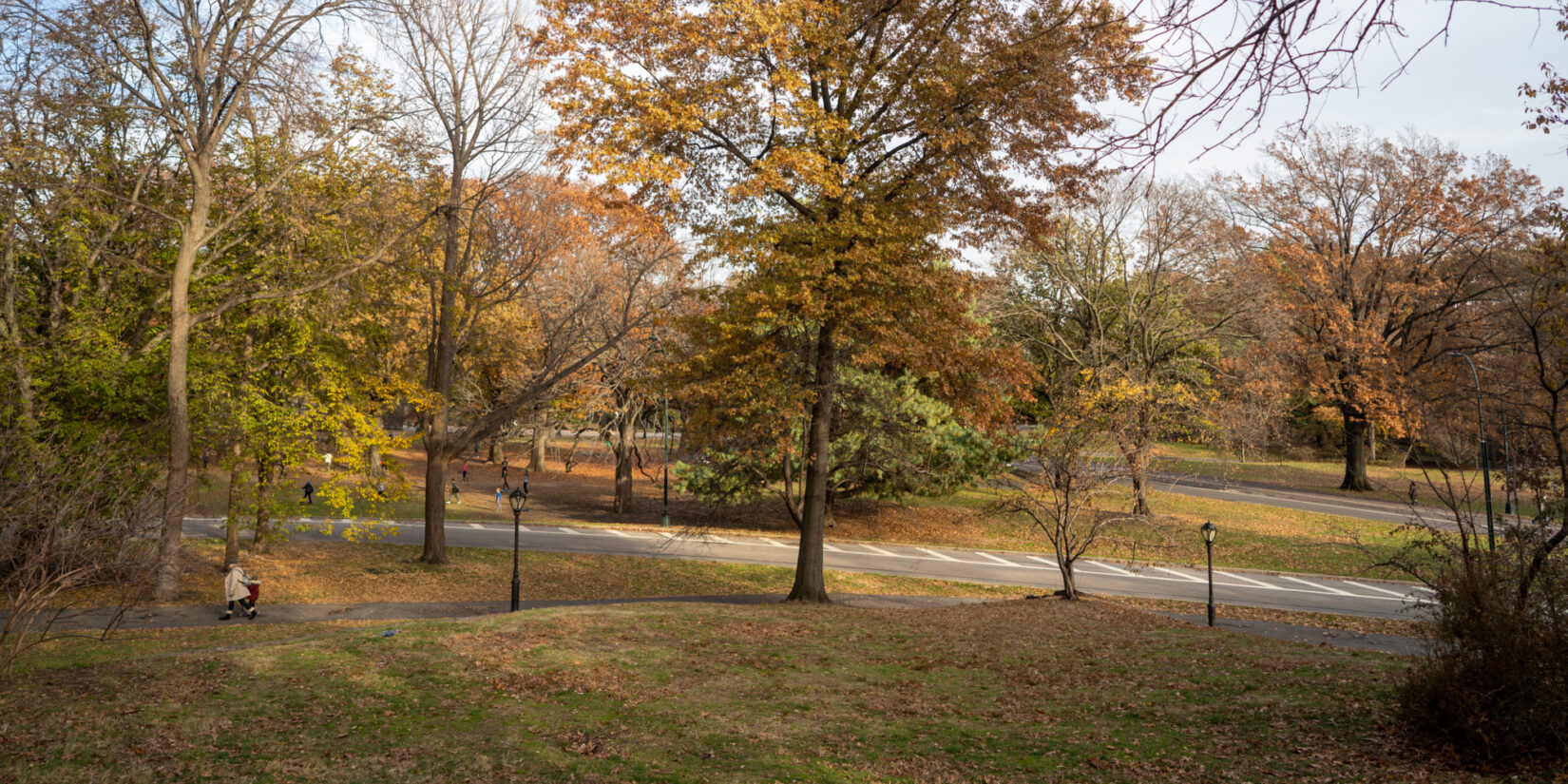 The view from Summit Rock looking down on a park path and an autumnal landscape