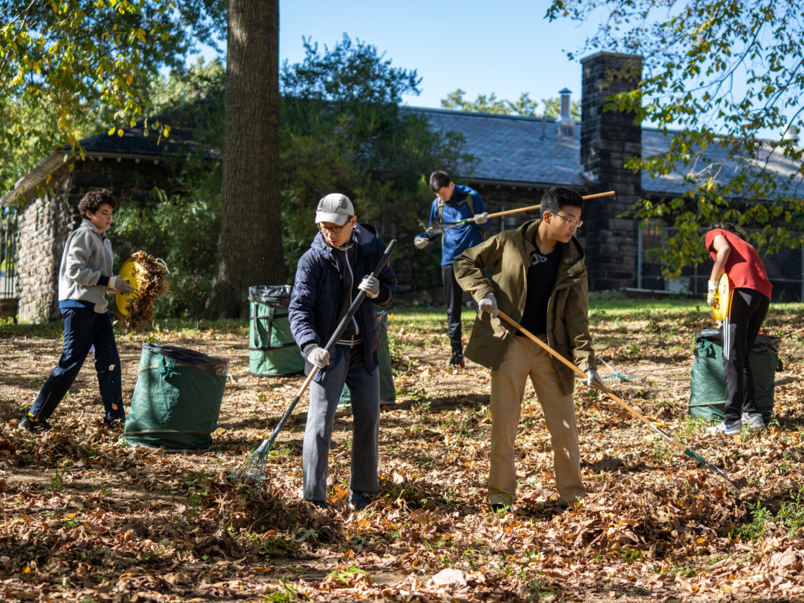 Teens with rakes volunteer on a leaf-strewn landscape in Central Park