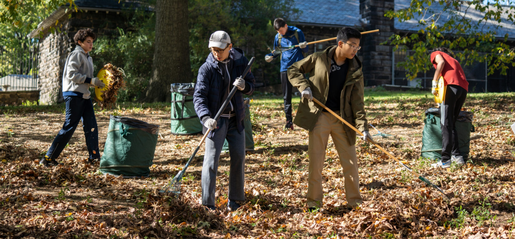 Teens with rakes volunteer on a leaf-strewn landscape in Central Park