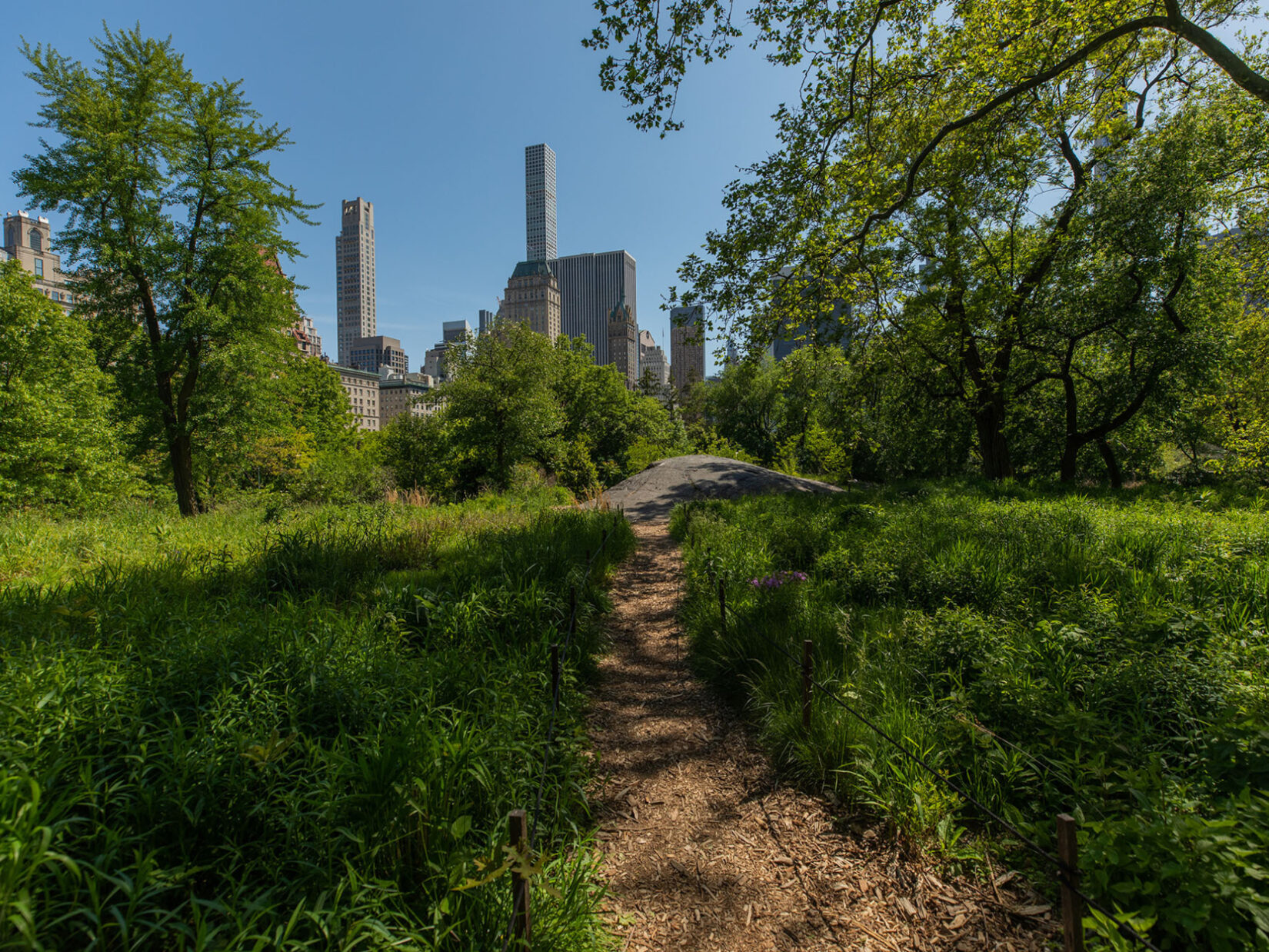 A footpath leading up the Dene Slope, with the skyline of Manhattan in the distance