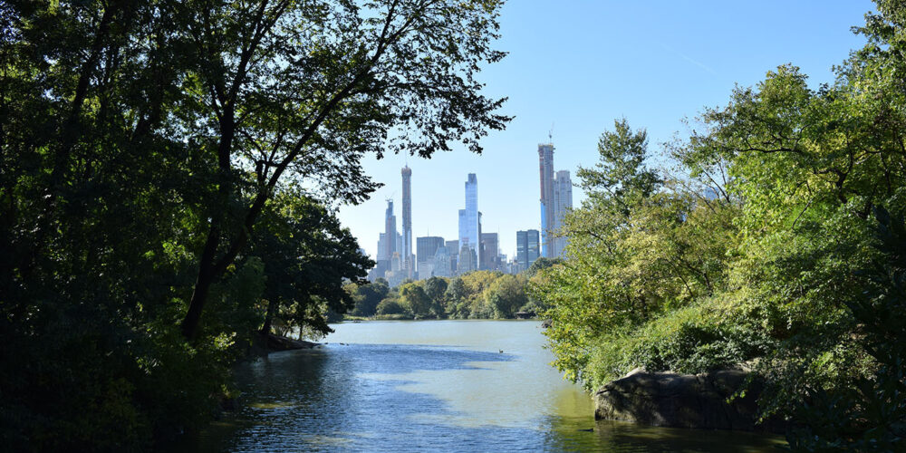 A view across the Lake, framed by trees, with the midtown skyline in the distance