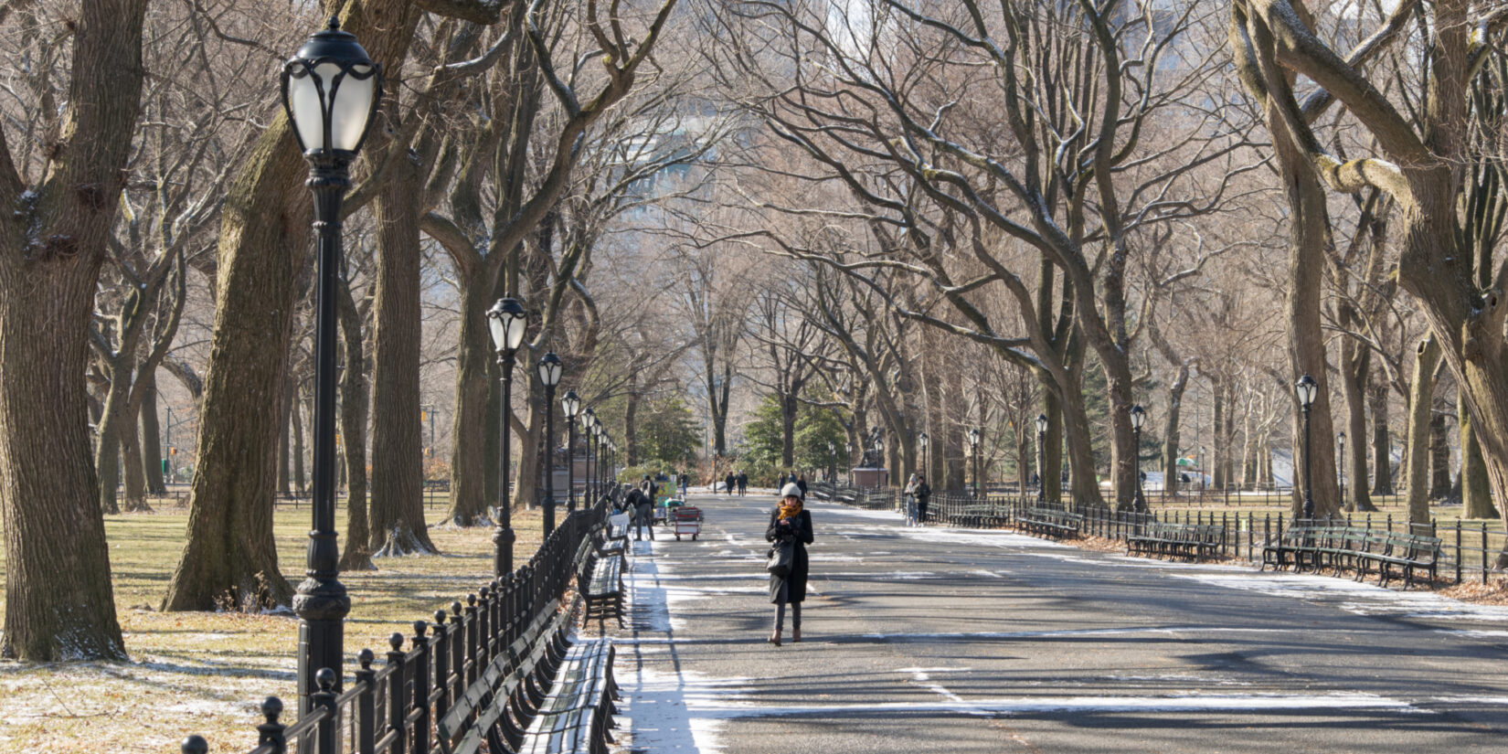 A view looking down the Mall on a wintry day, populated by a handful of pedestrians