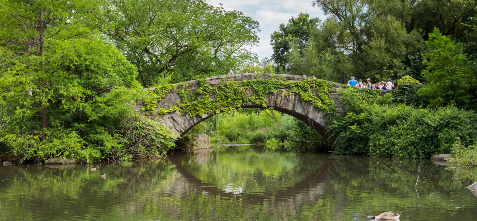 The Pond July 2018 0039