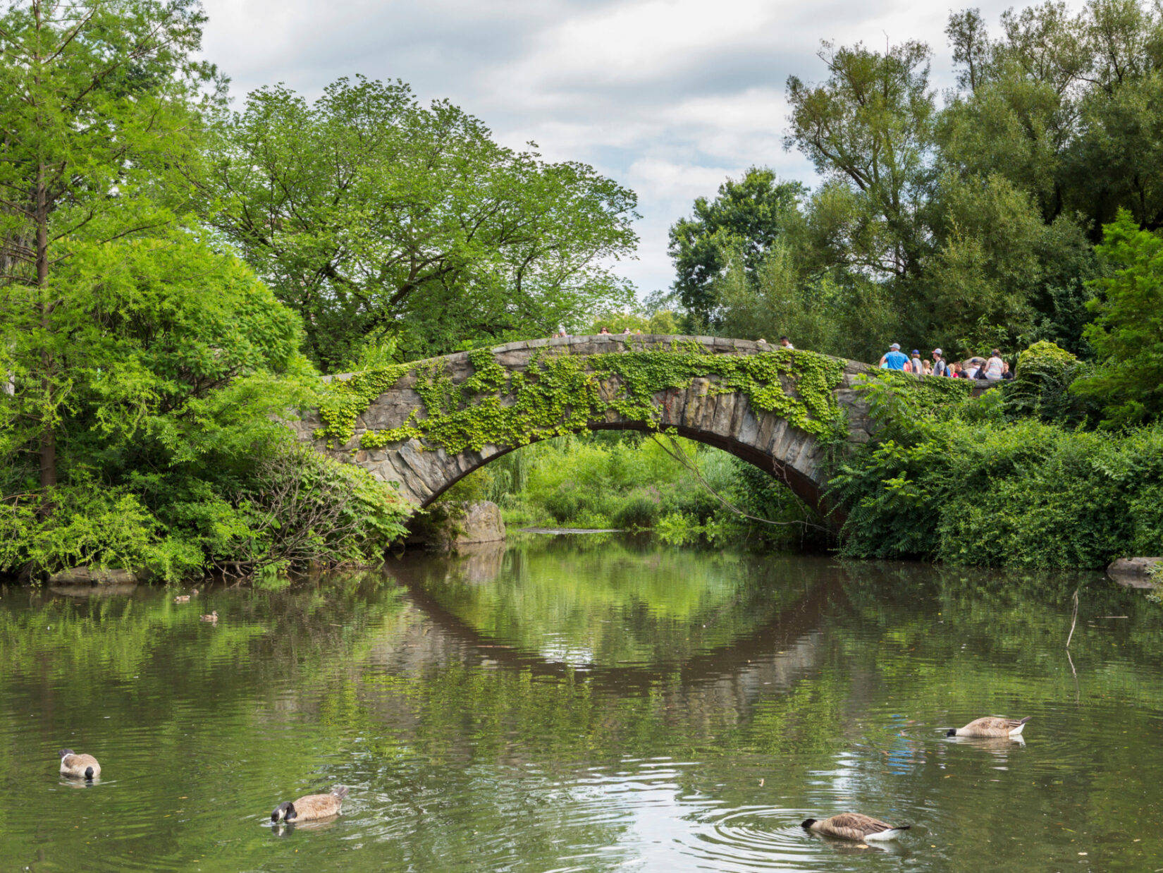 The Pond July 2018 0039