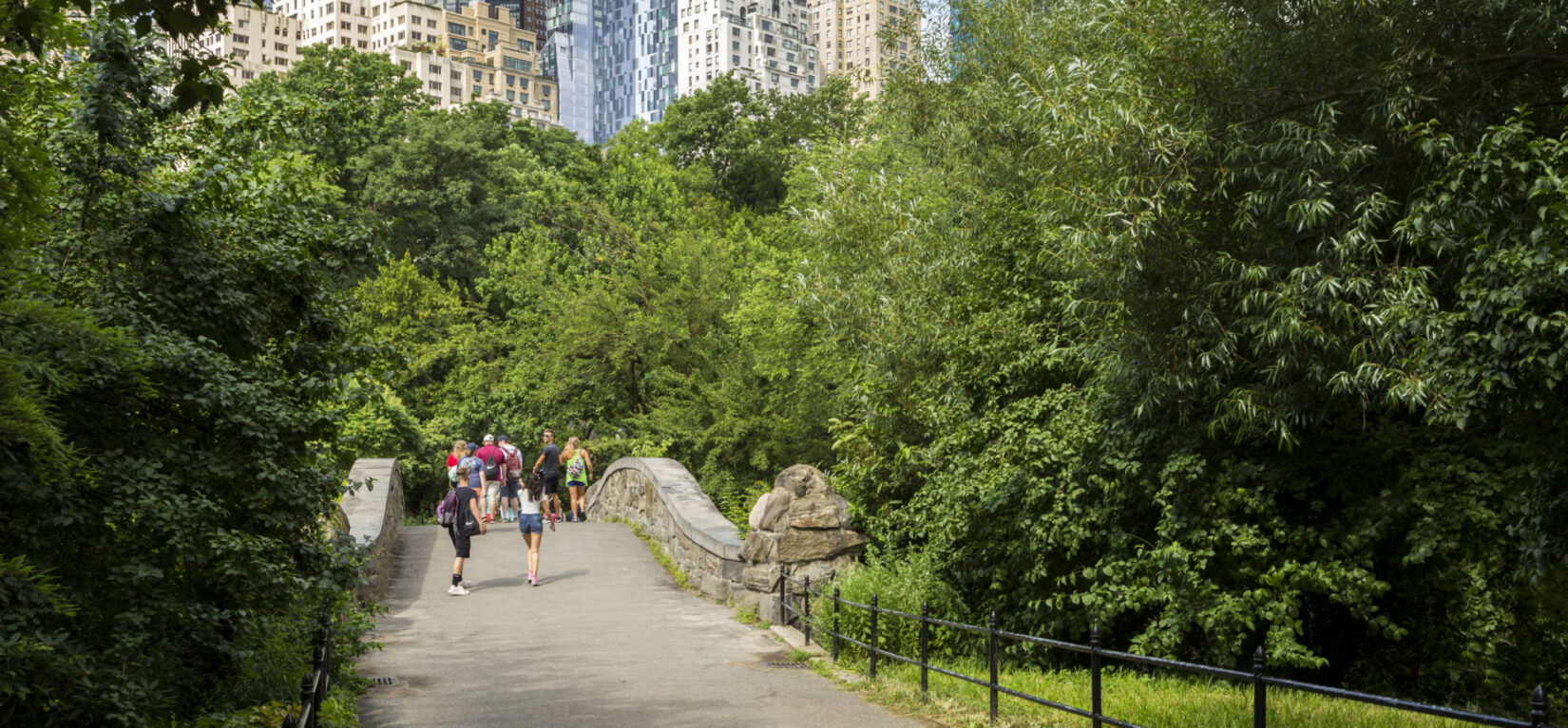 Park goes walk across a bridge that spans the Pond, with Fifth Avenue's buildings looming in the background