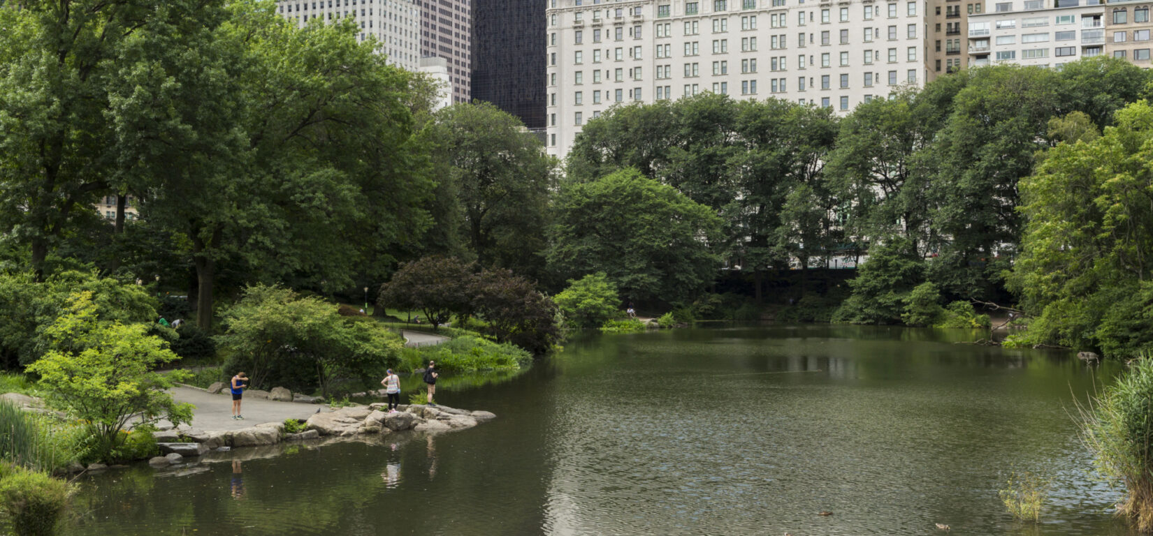 Park goers playing on the shore of the Pond, with the Plaza Hotel in the background