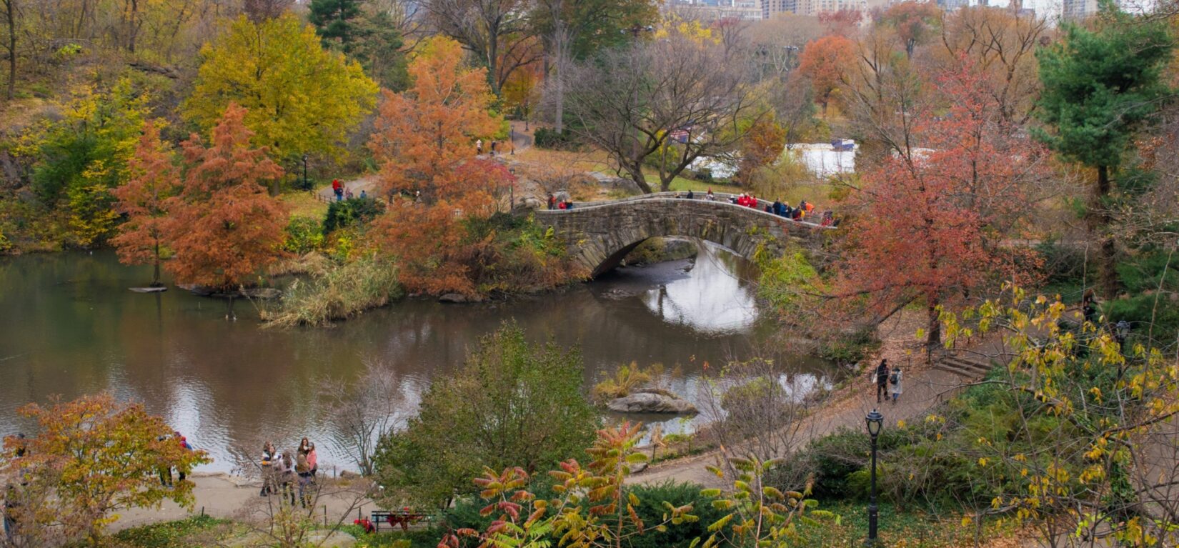 A view of the Pond in autumn, seen from near the south-east entrance to the Park