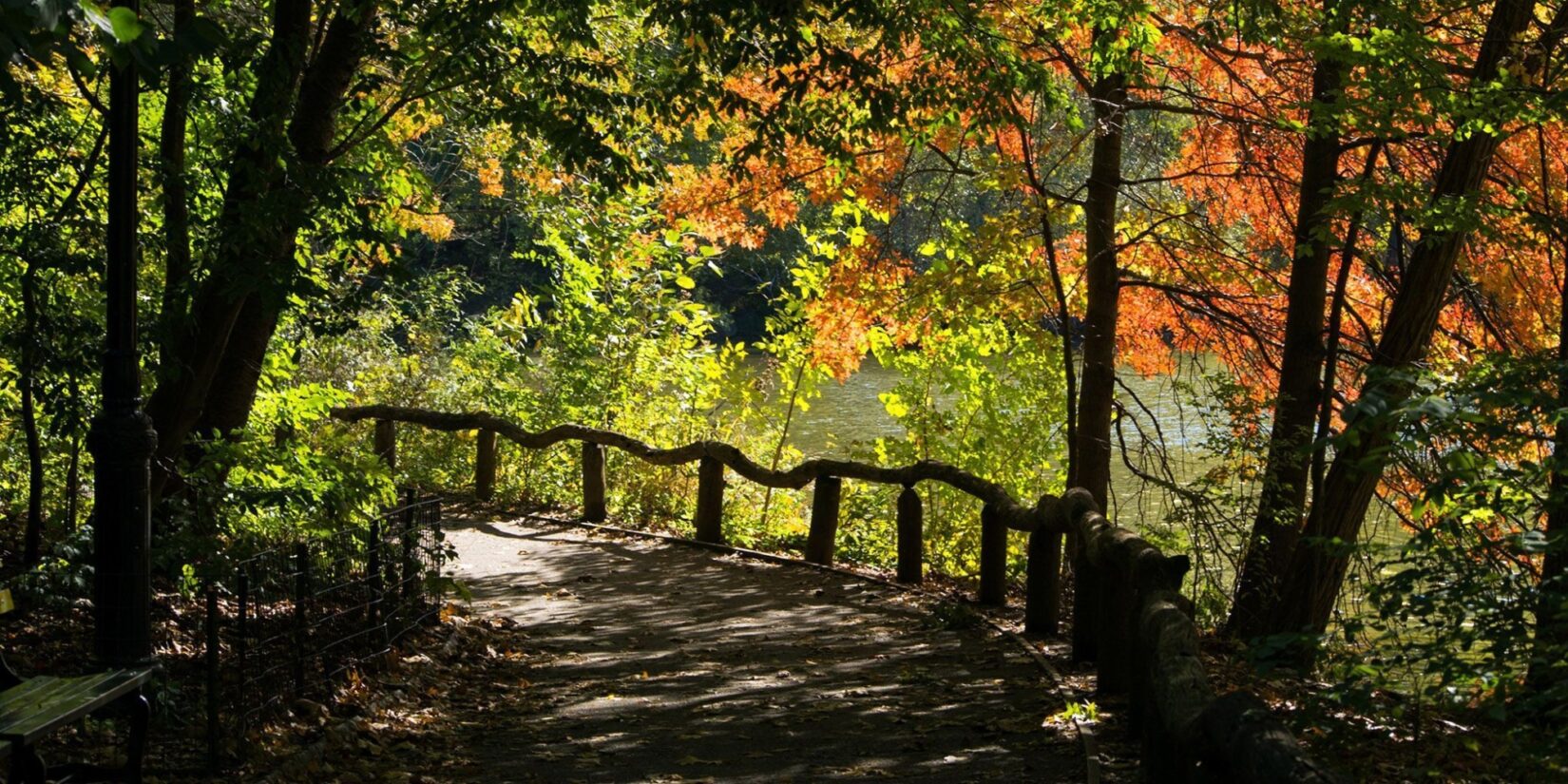 Colorful leaves and autumn light enliven this view of a path through the Ramble