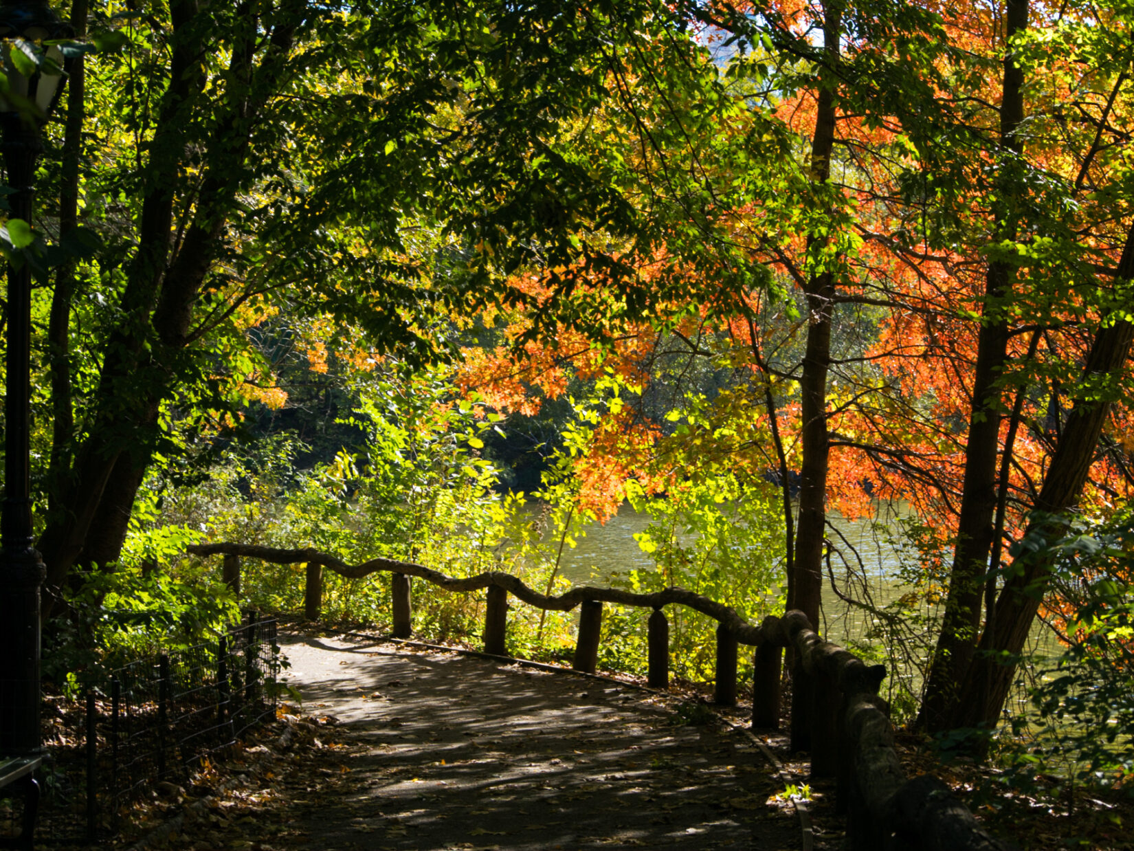 A path through the Ramble