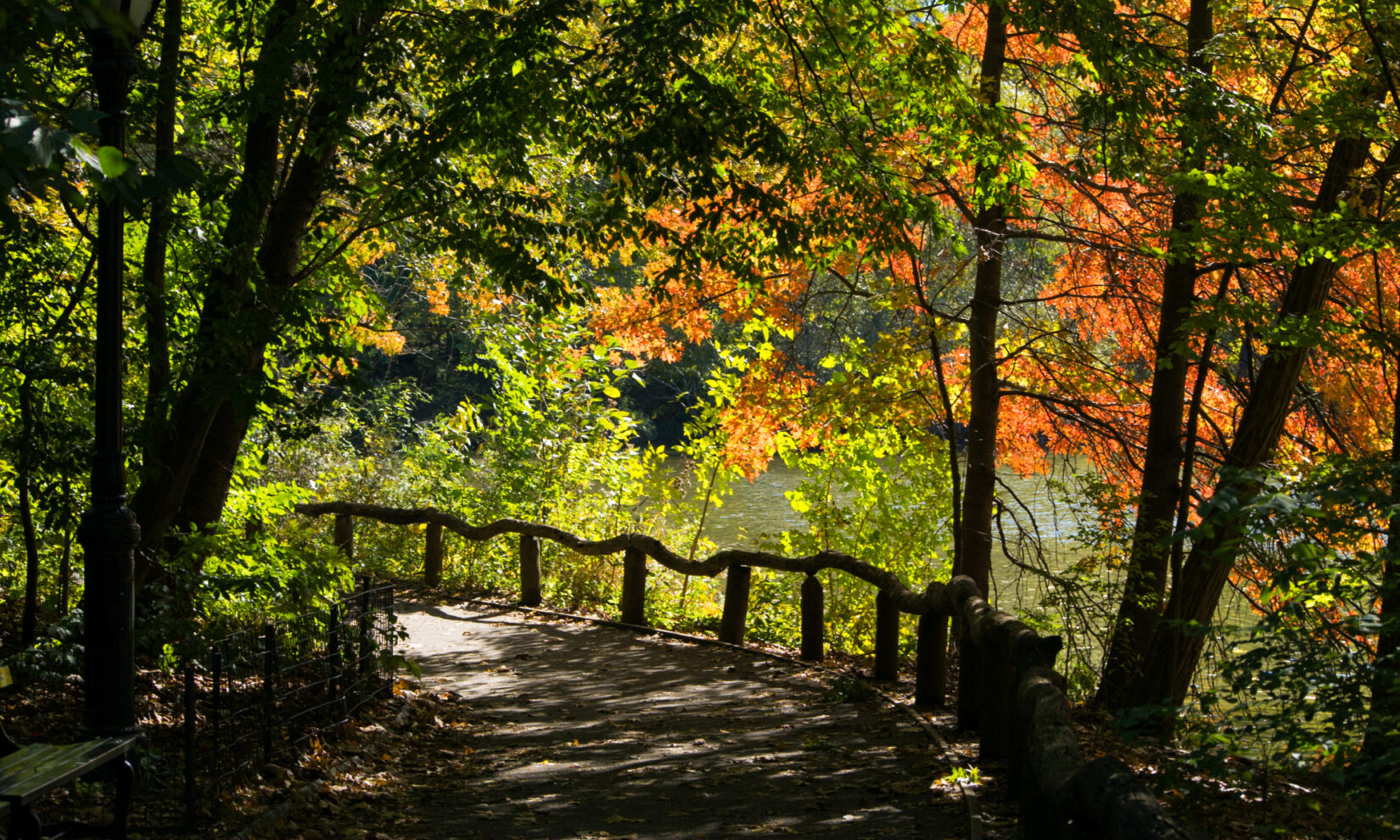 A path through the Ramble