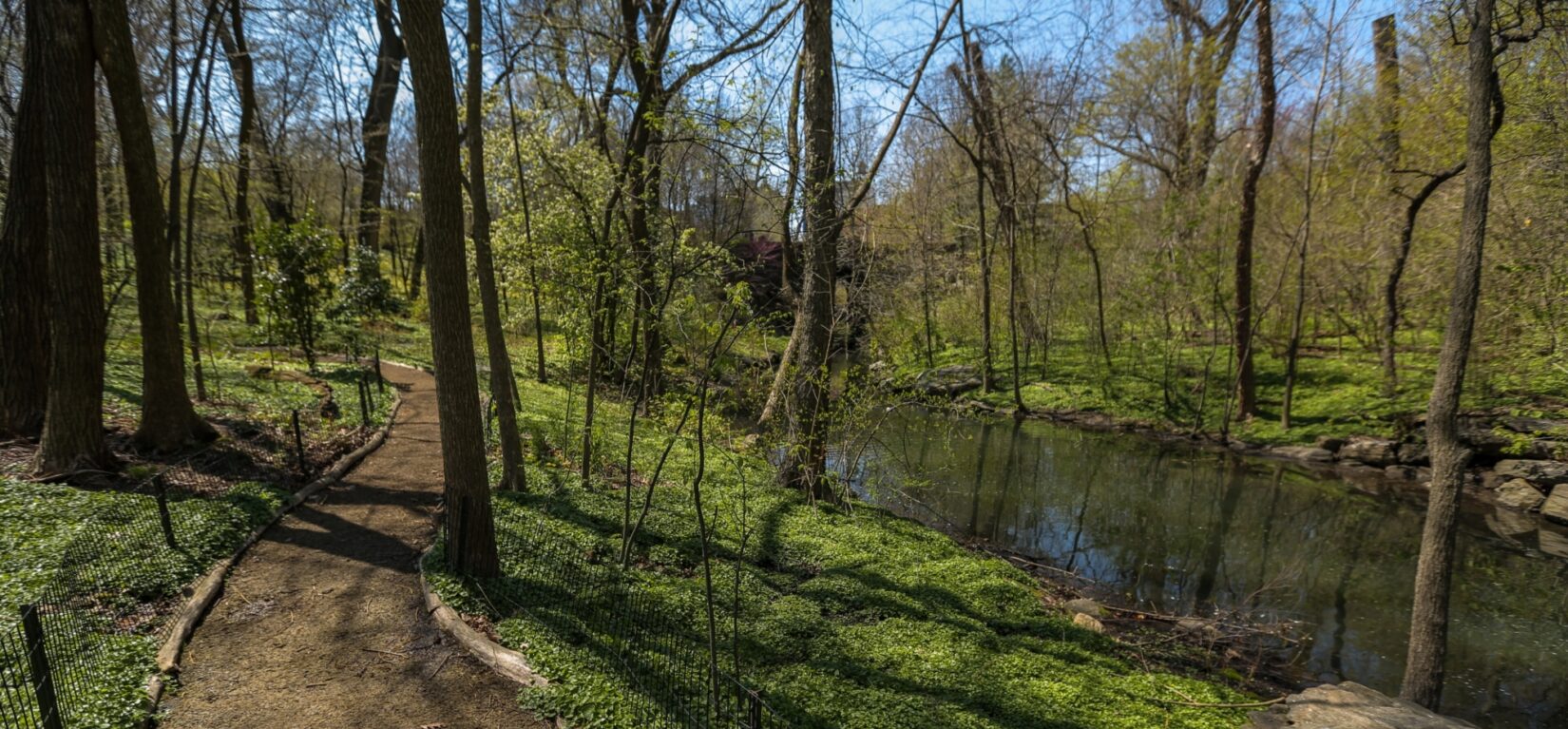 A rustic path winds alongside a stream in the Ravine