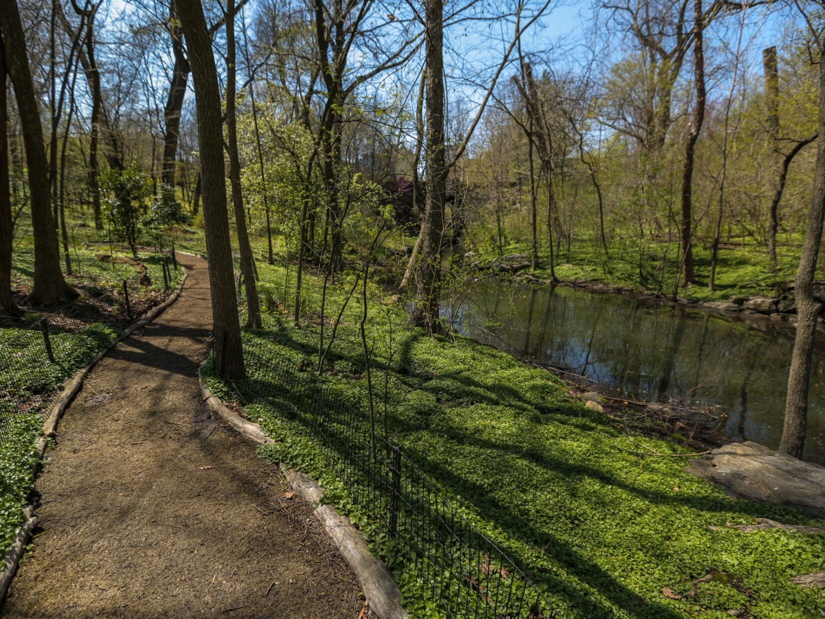 A rustic path winds alongside a stream in the Ravine