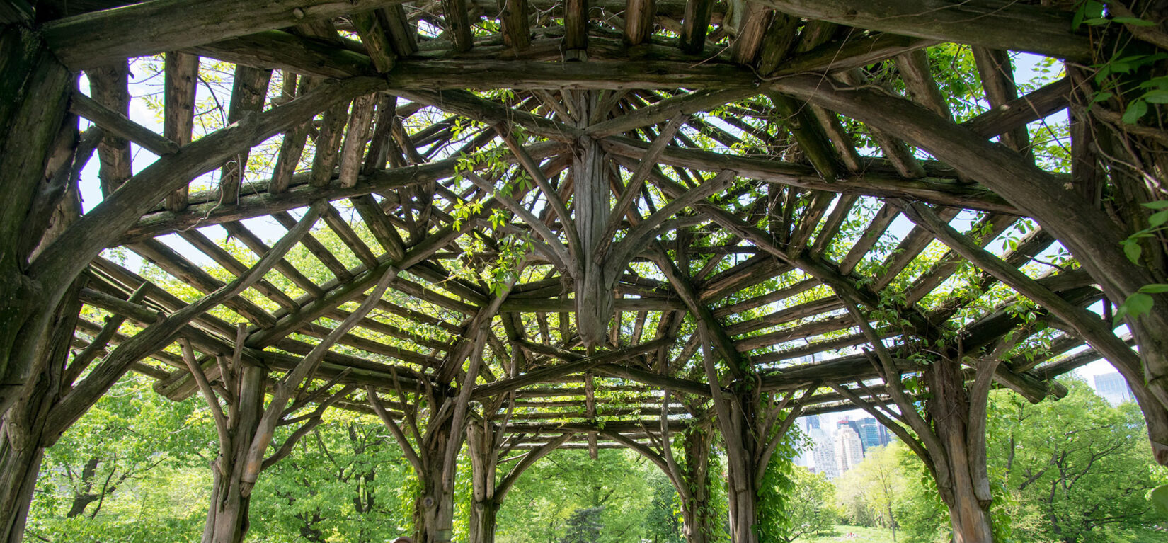 The roof of the rustic structure is a dramatic frame for two visitors seated below