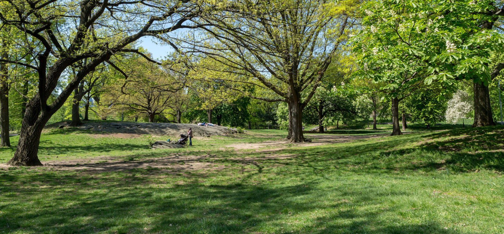 A woman with a child in a stroller on a path that winds through the Seneca Village site