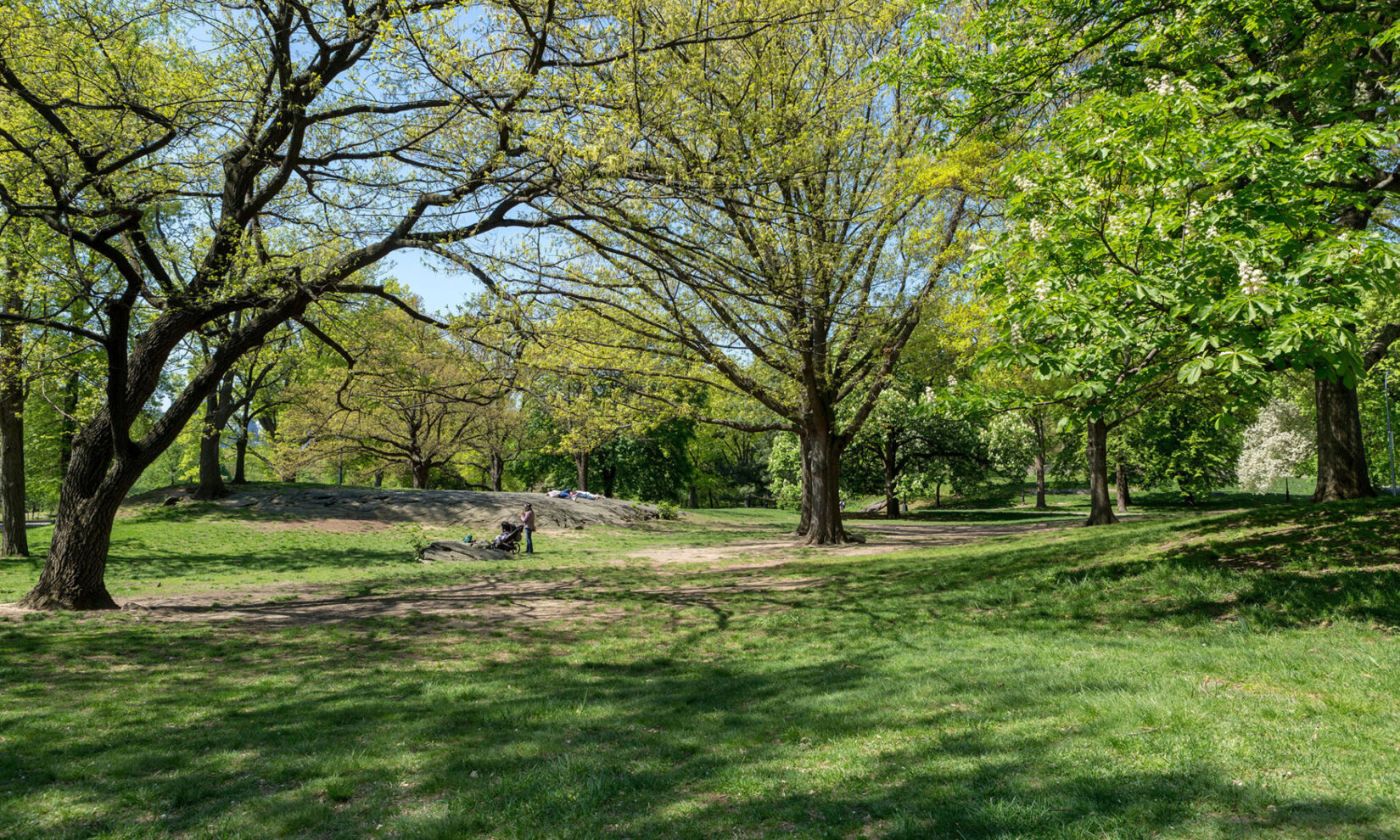 A woman with a child in a stroller on a path that winds through the Seneca Village site