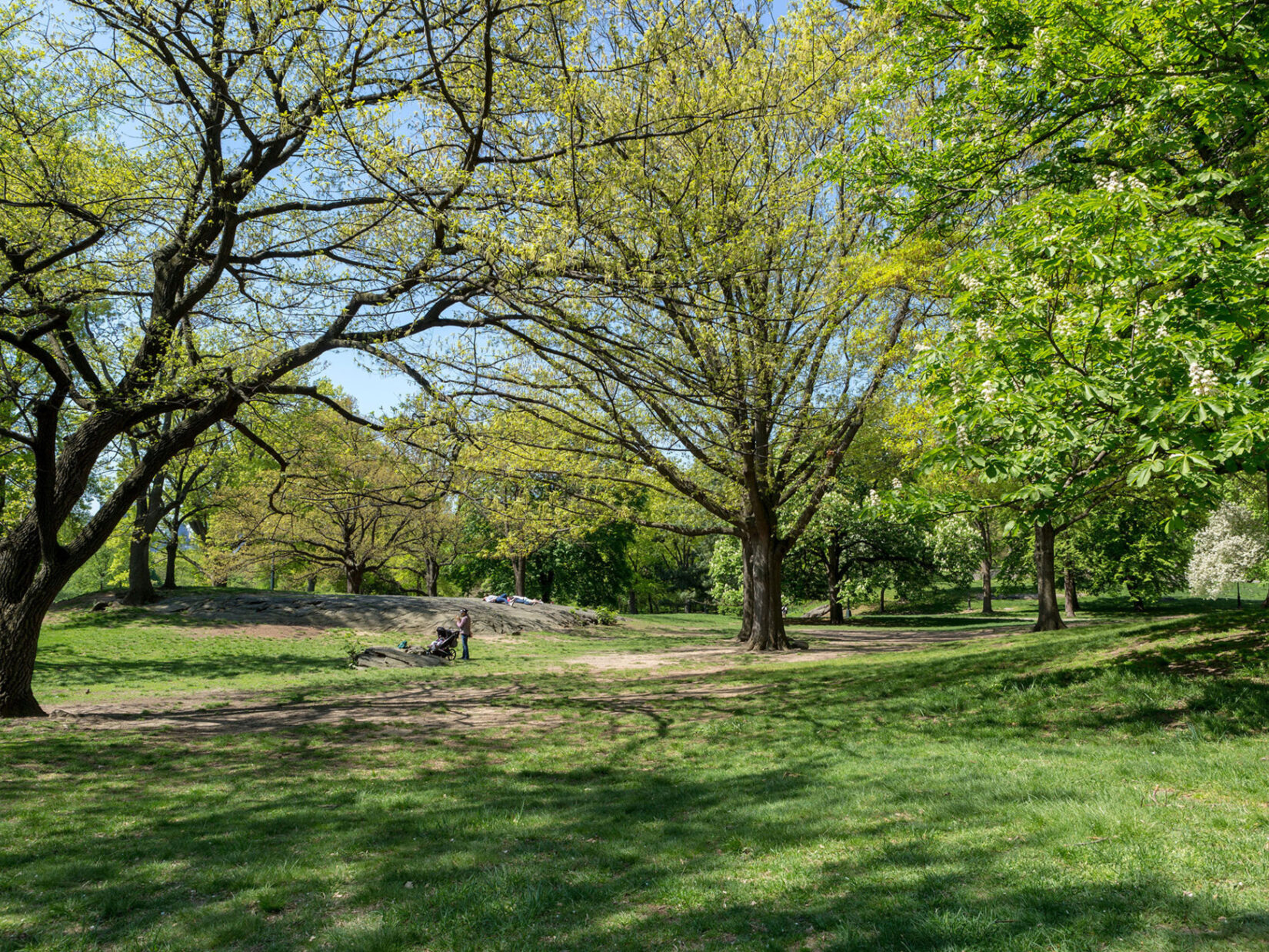 A woman with a child in a stroller on a path that winds through the Seneca Village site