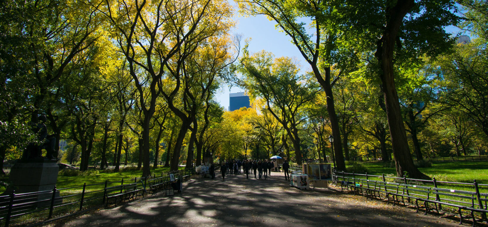 Looking down the length of the Mall with sunlight streaming through the dark limbs of American Elms