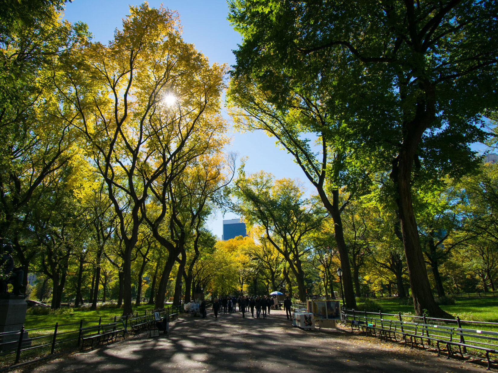 Looking down the length of the Mall with sunlight streaming through the dark limbs of American Elms