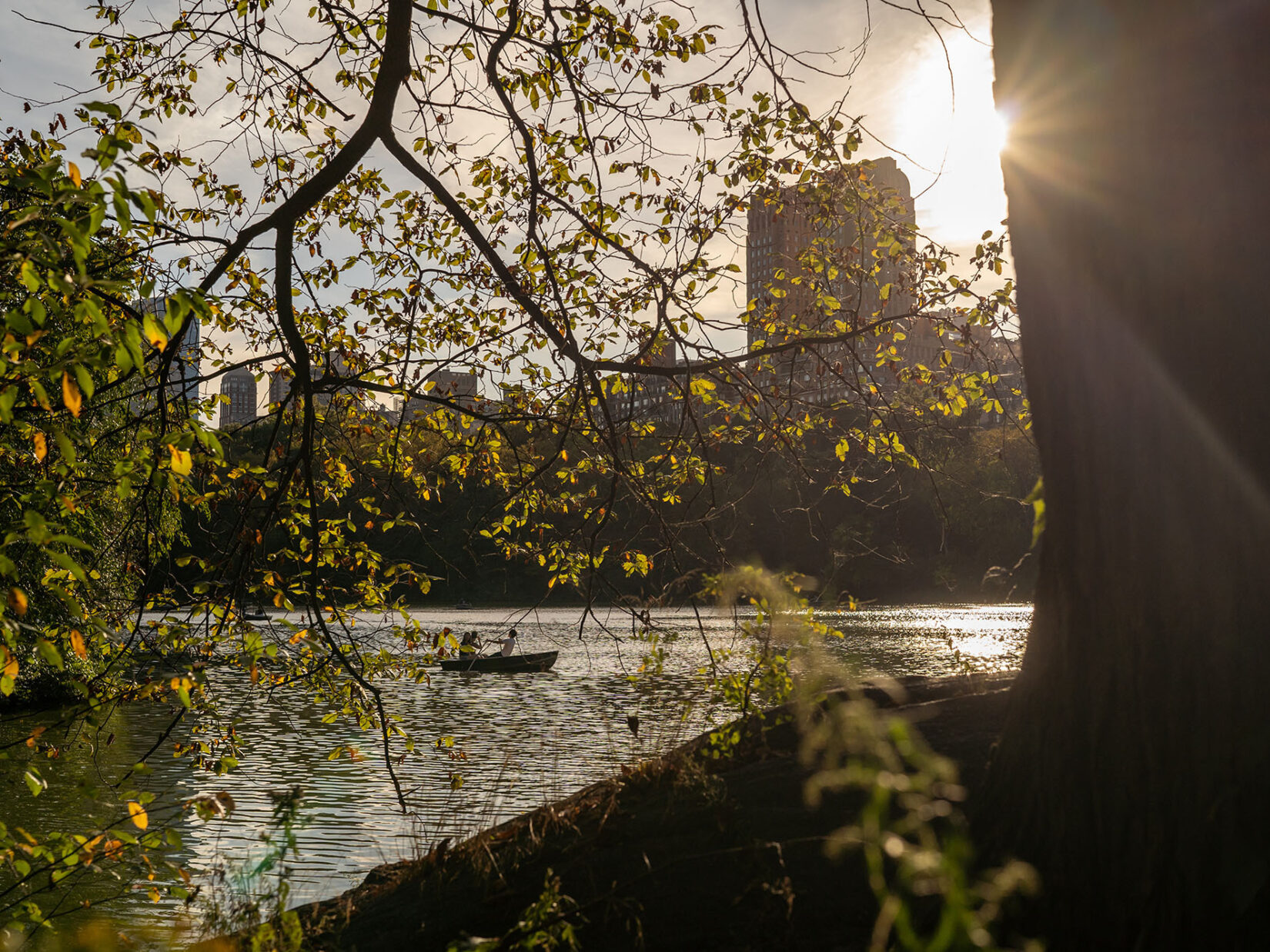 A rowboat on the Lake seen through the branches of a tree on an autumn afternoon