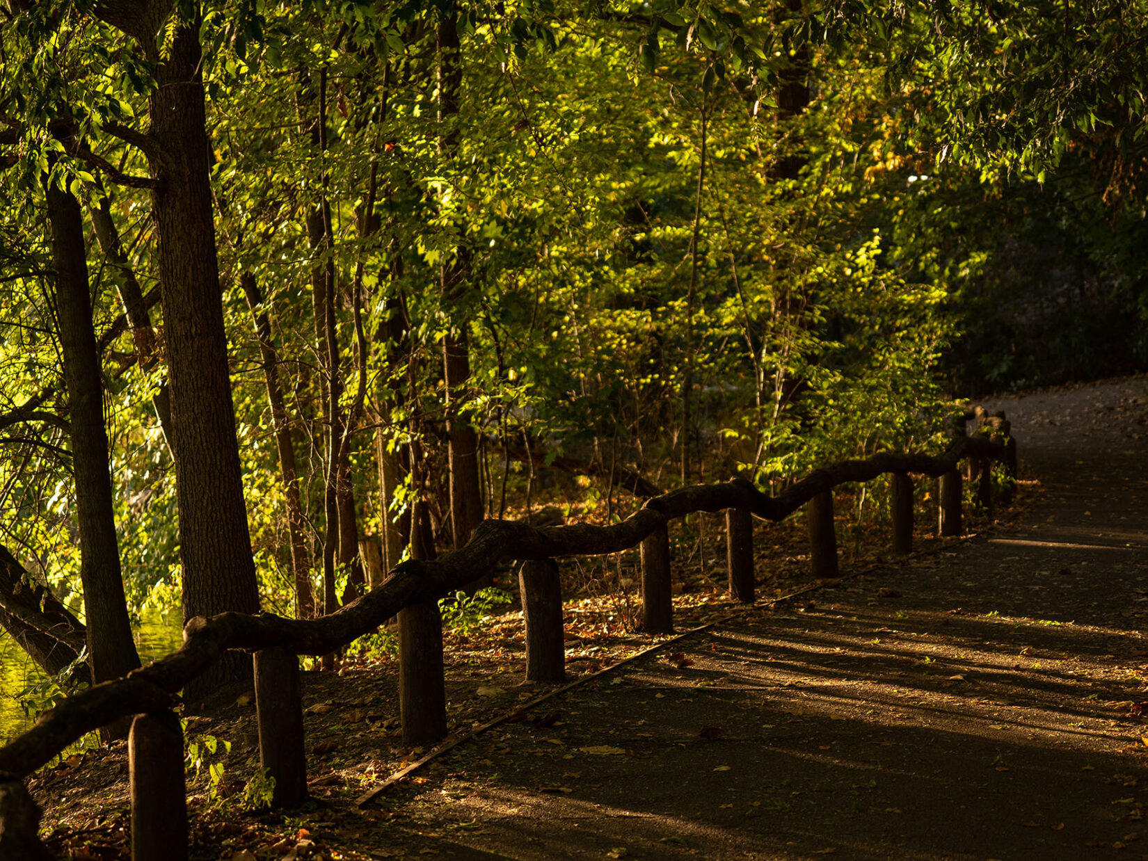 A path along the Lake in the Ramble with dramatic shadows cast in late afternoon