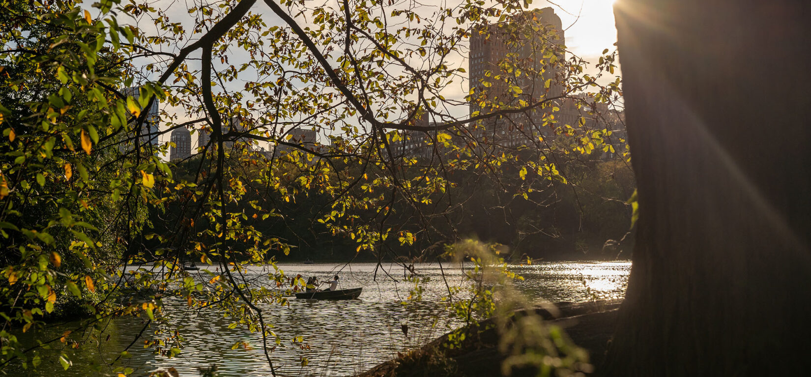 A rowboat on the Lake seen through the branches of a tree on an autumn afternoon