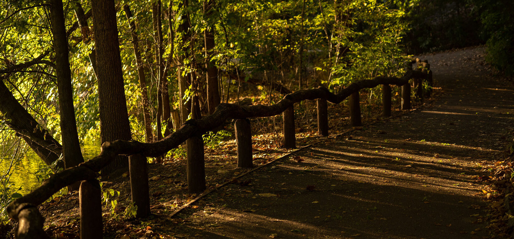 A path along the Lake in the Ramble with dramatic shadows cast in late afternoon