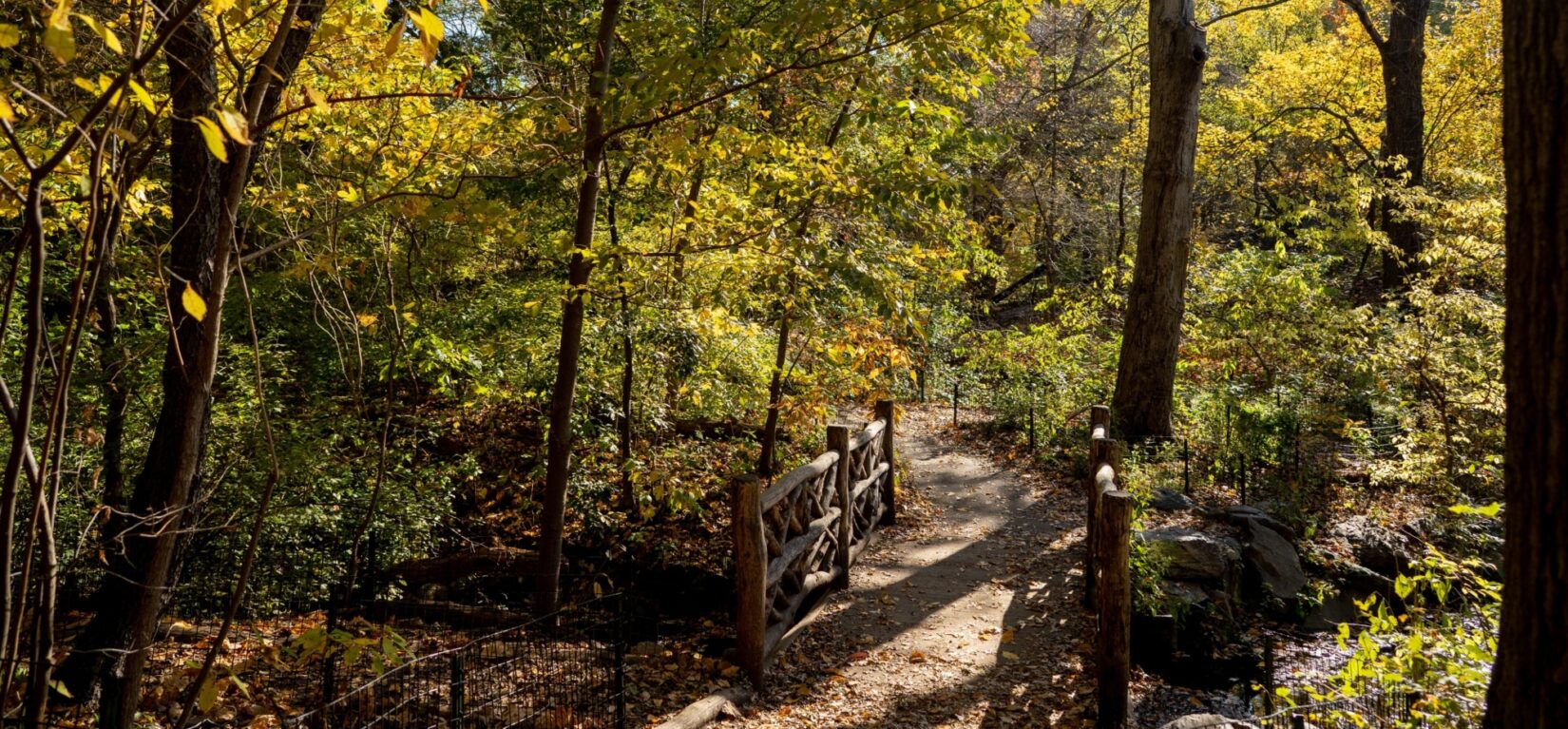 A rustic bridge spans a stream in the lush Ramble