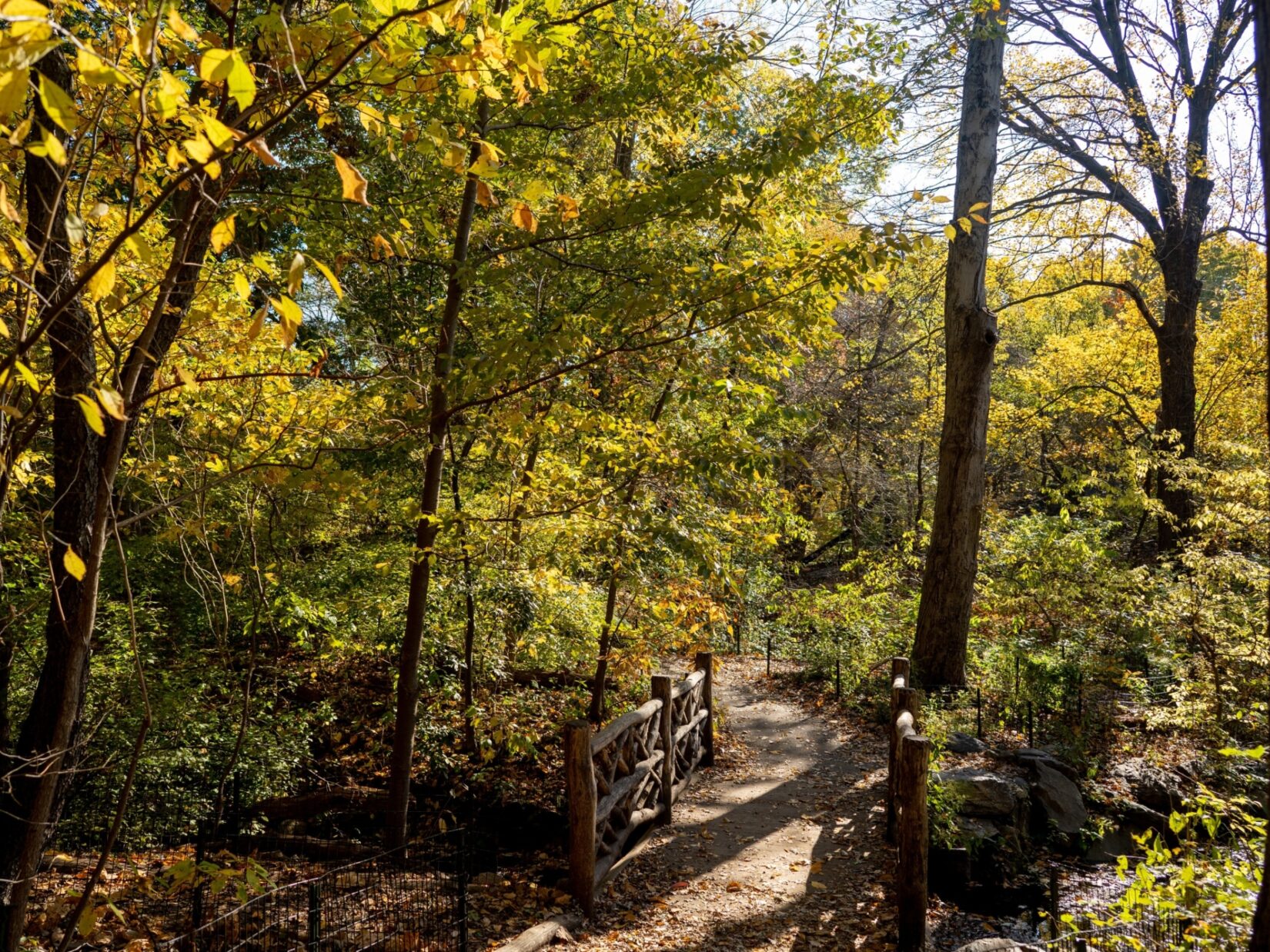 A rustic bridge spans a stream in the lush Ramble