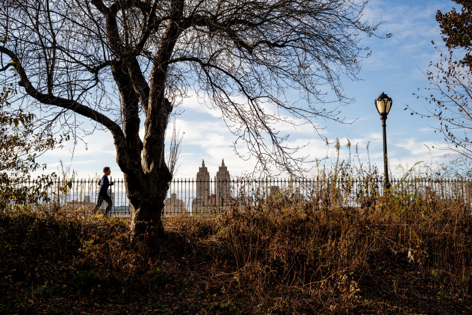 The Reservoir Fall 20191120 06880