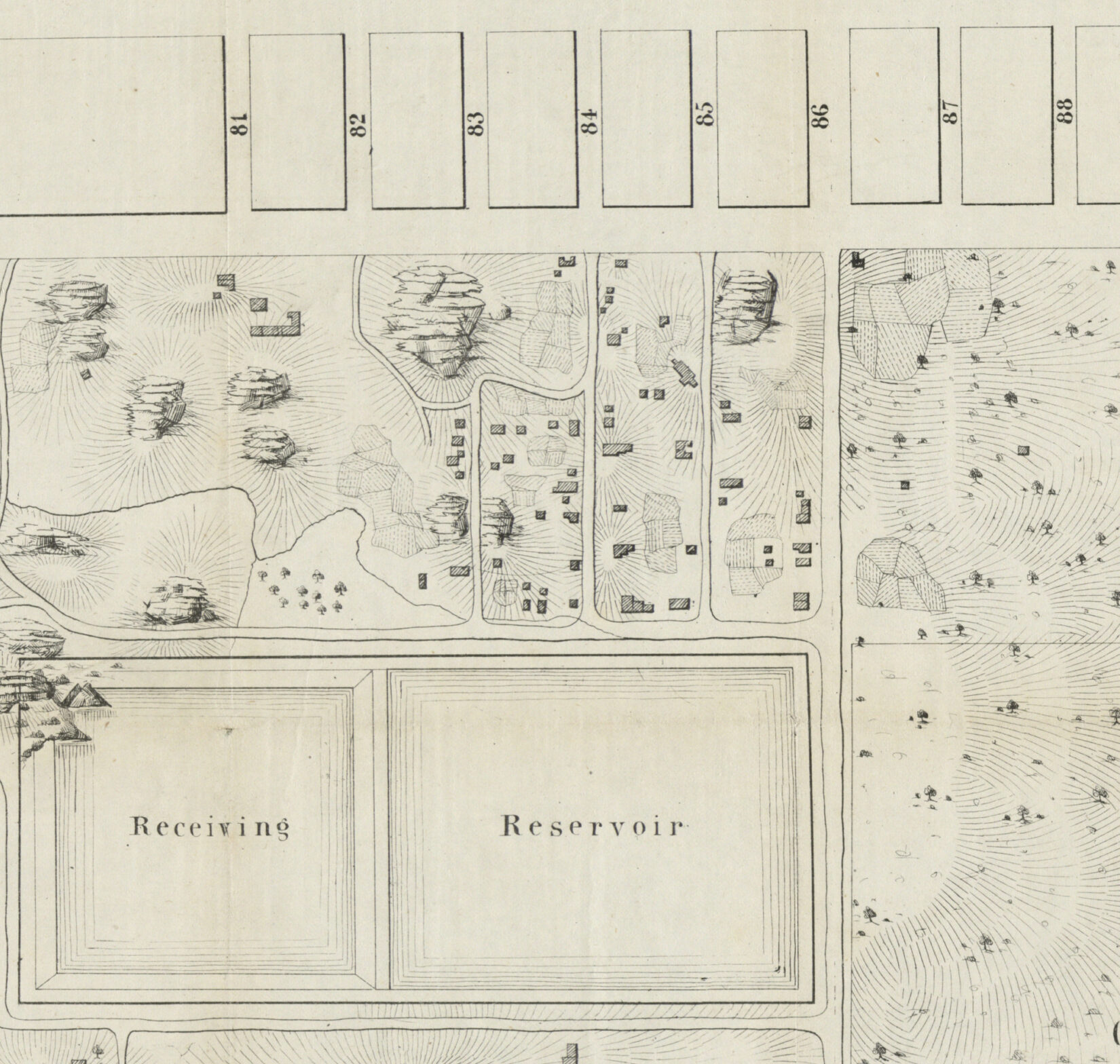 The map is an antique engraving showing plots, paths, and trees.