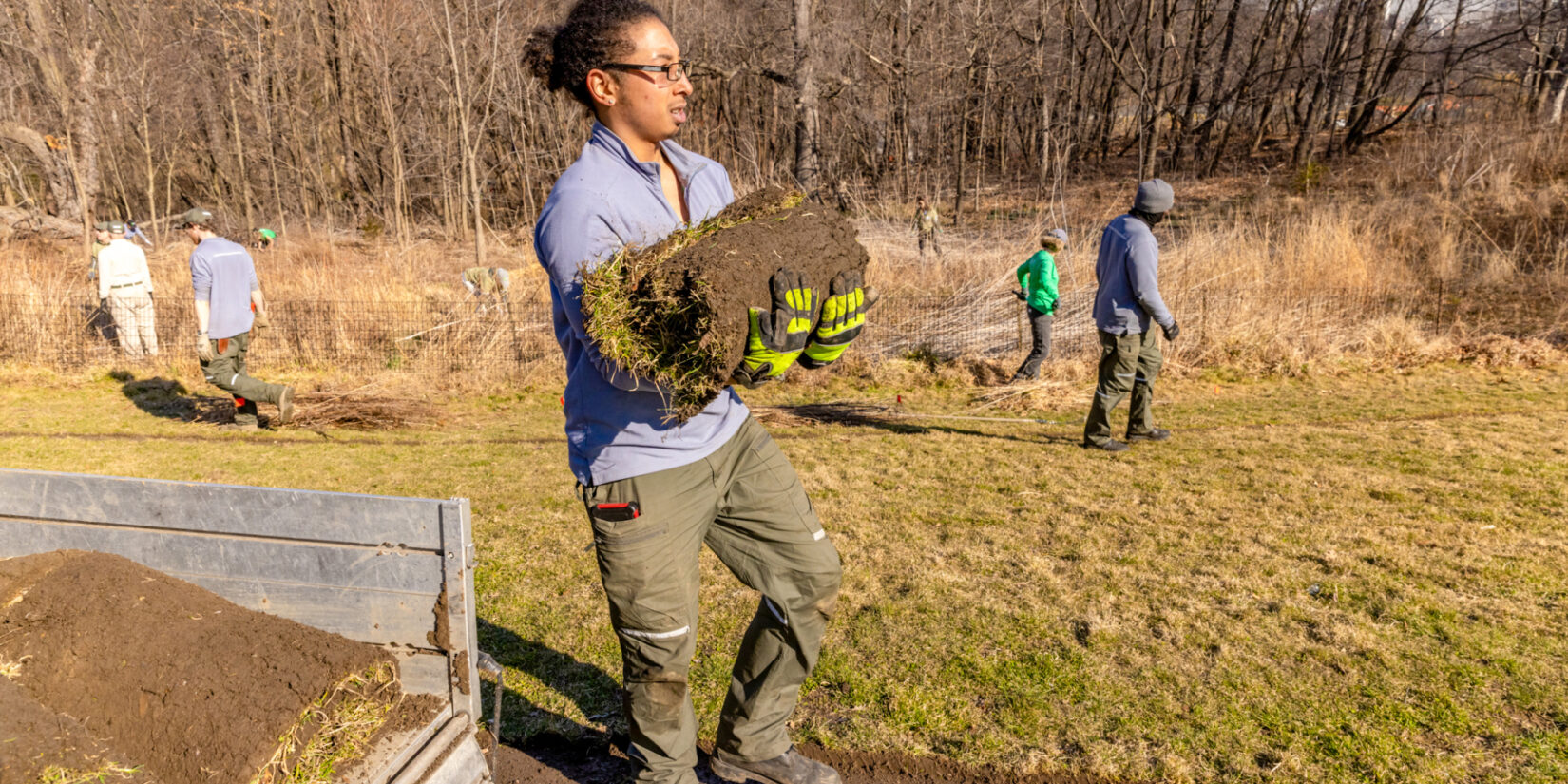 Central Park volunteers help to move turf