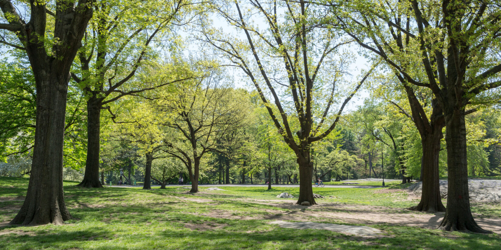 Another Seneca Village landscape, shown in spring