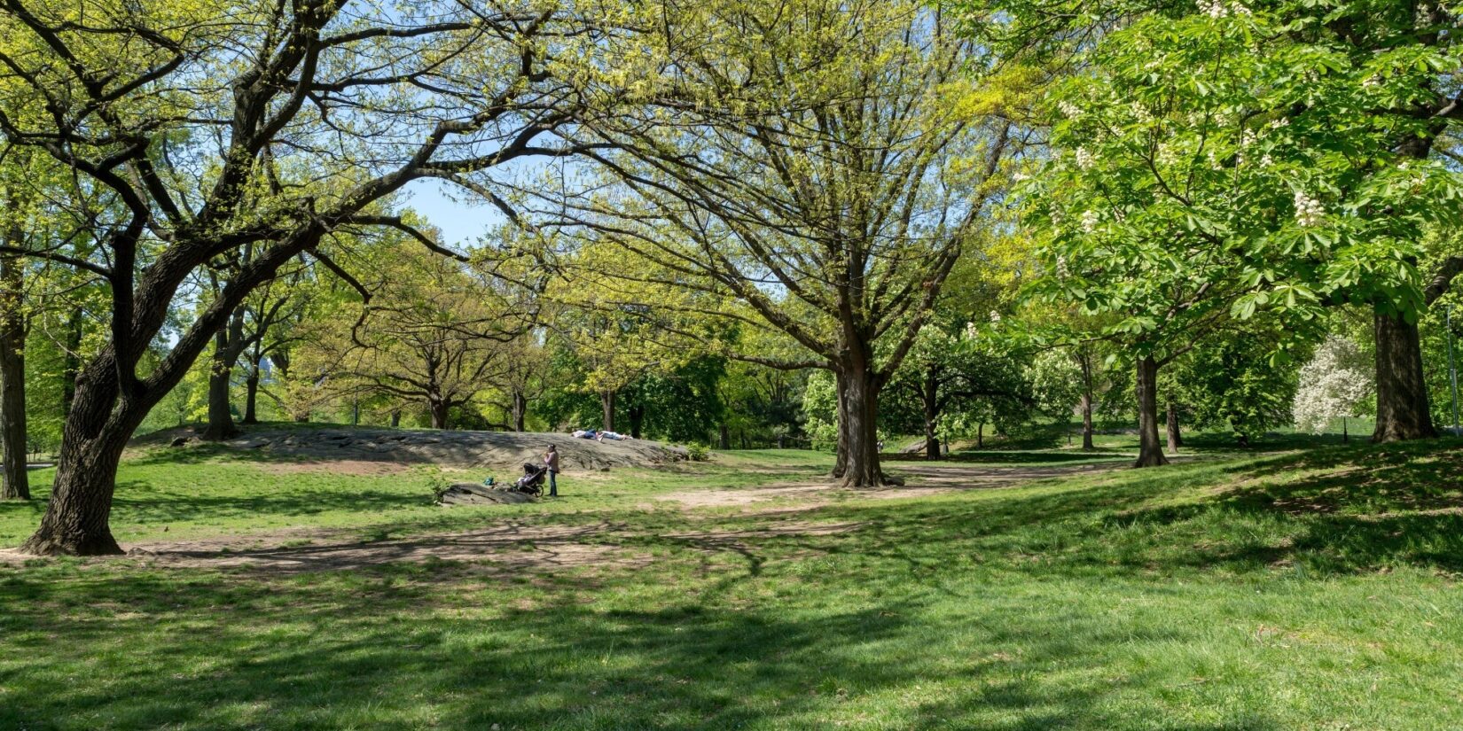 Gently rolling landscape features an outcrop of schist and spring-green trees.