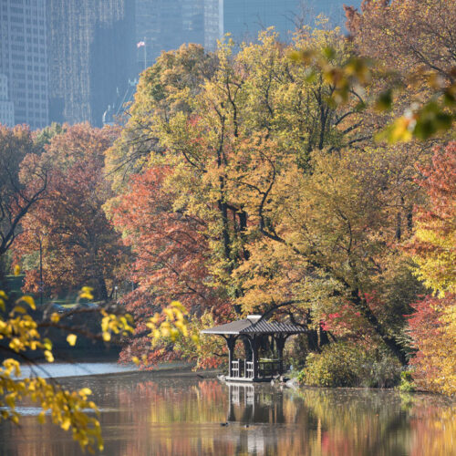 Western Shore Boat Landing, with autumn leaves reflected on the Lake and apartment buildings in a hazy background.