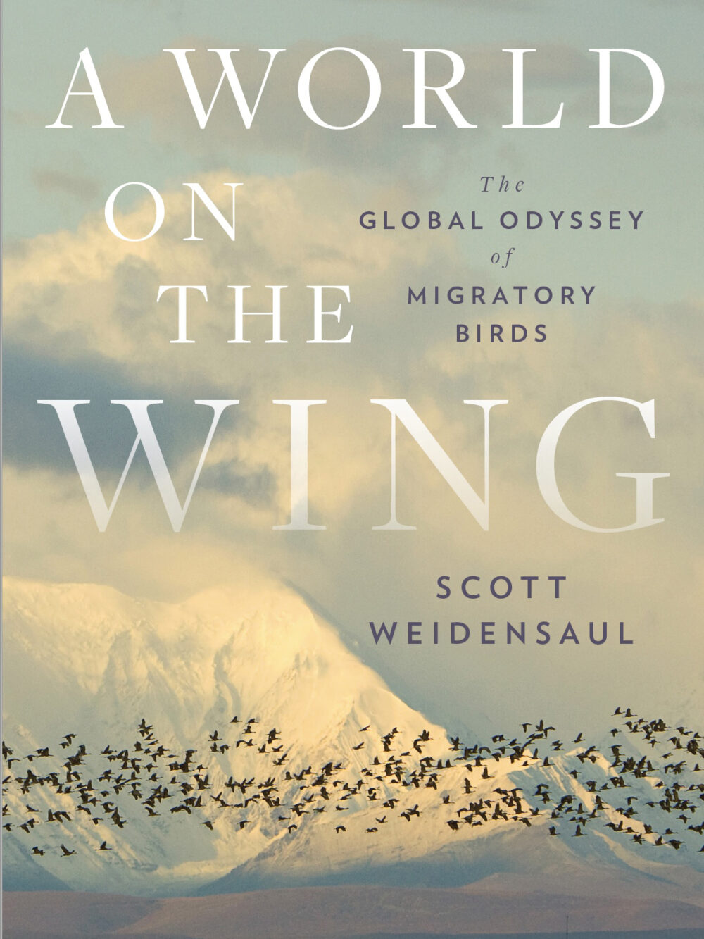 Book jacket depicting a flock of migratory birds against a backdrop of distant, snow-capped mountains.